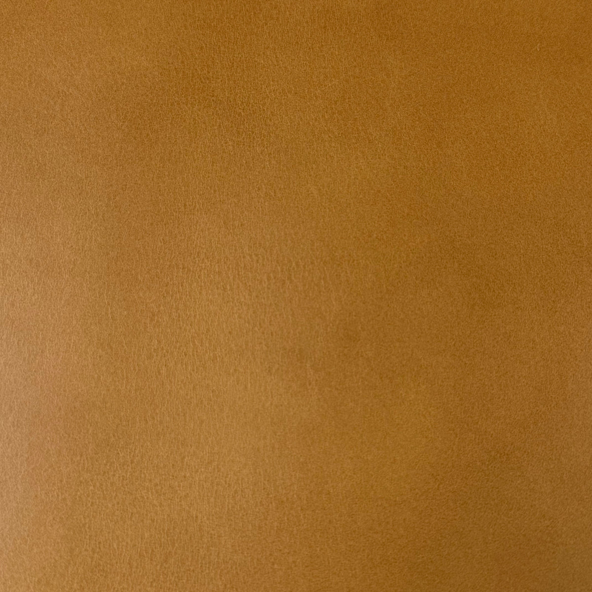Conceria Walpier Buttero, 3 oz | 7 Colors