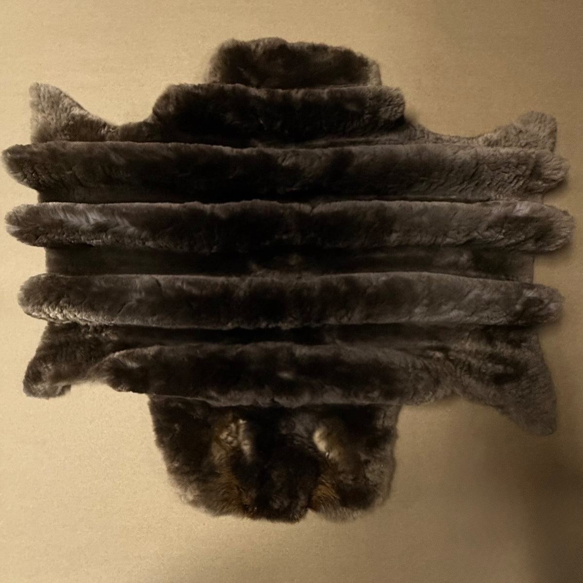 Genuine Beaver Pelts, Grade 1 - Plucked & Sheared