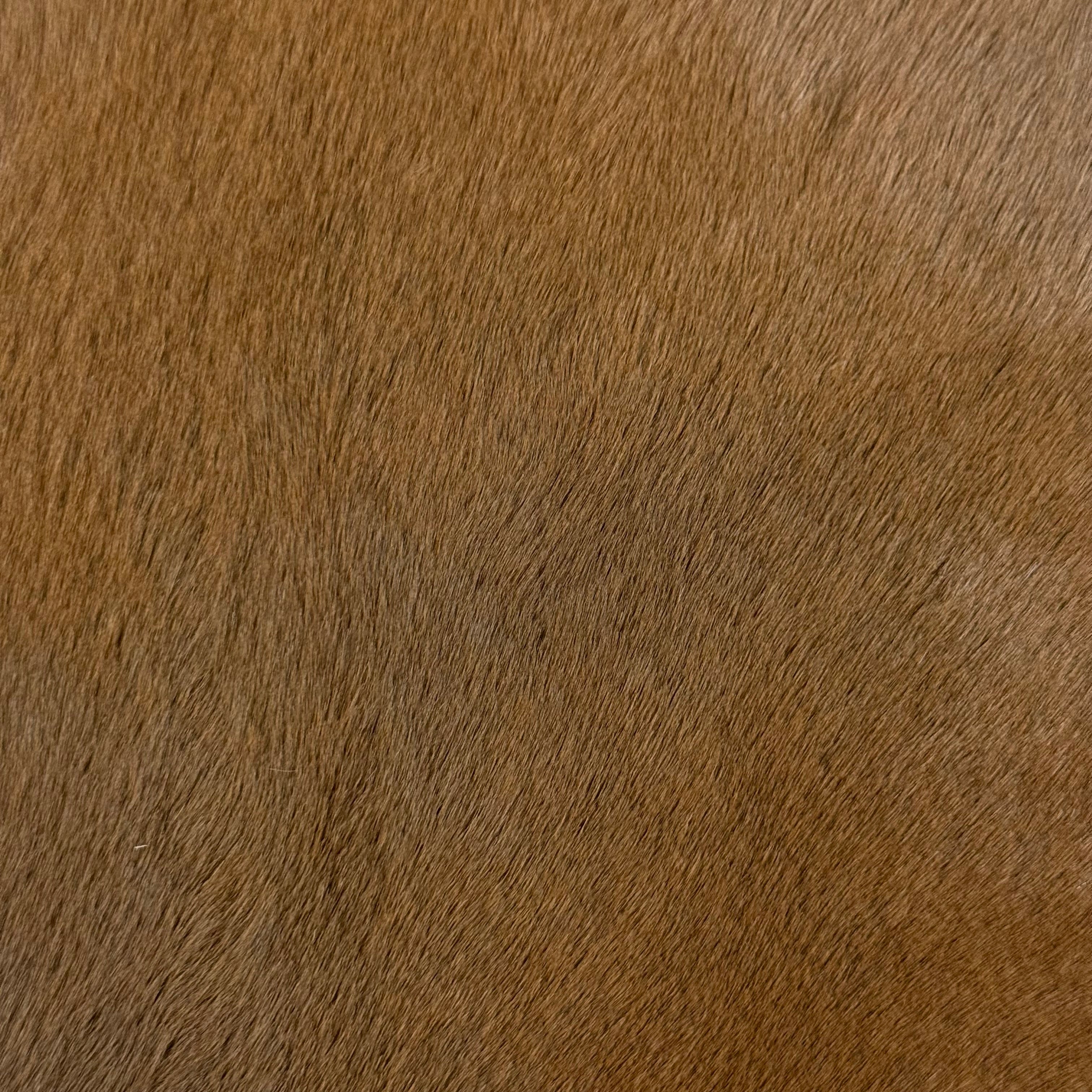 Natural Hair-On Kangaroo, Suede Back | Reversible