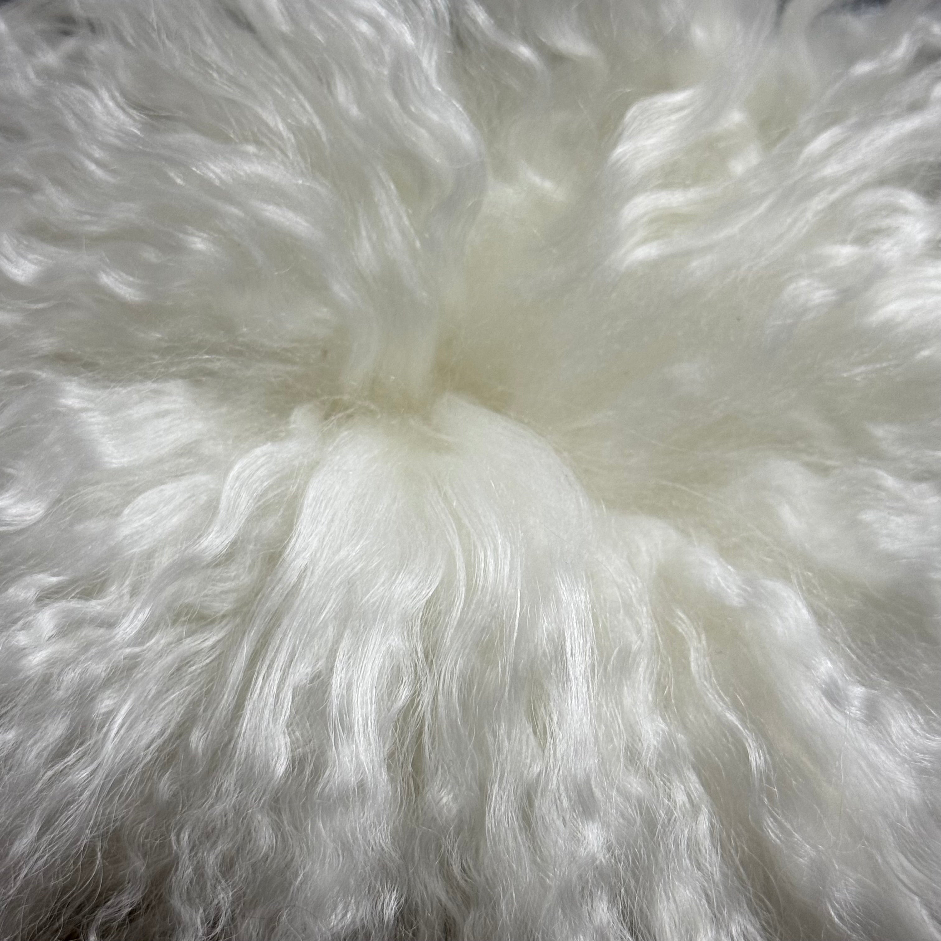 Mongolian Tibetan Curly Lamb Plate | 30+ Colors