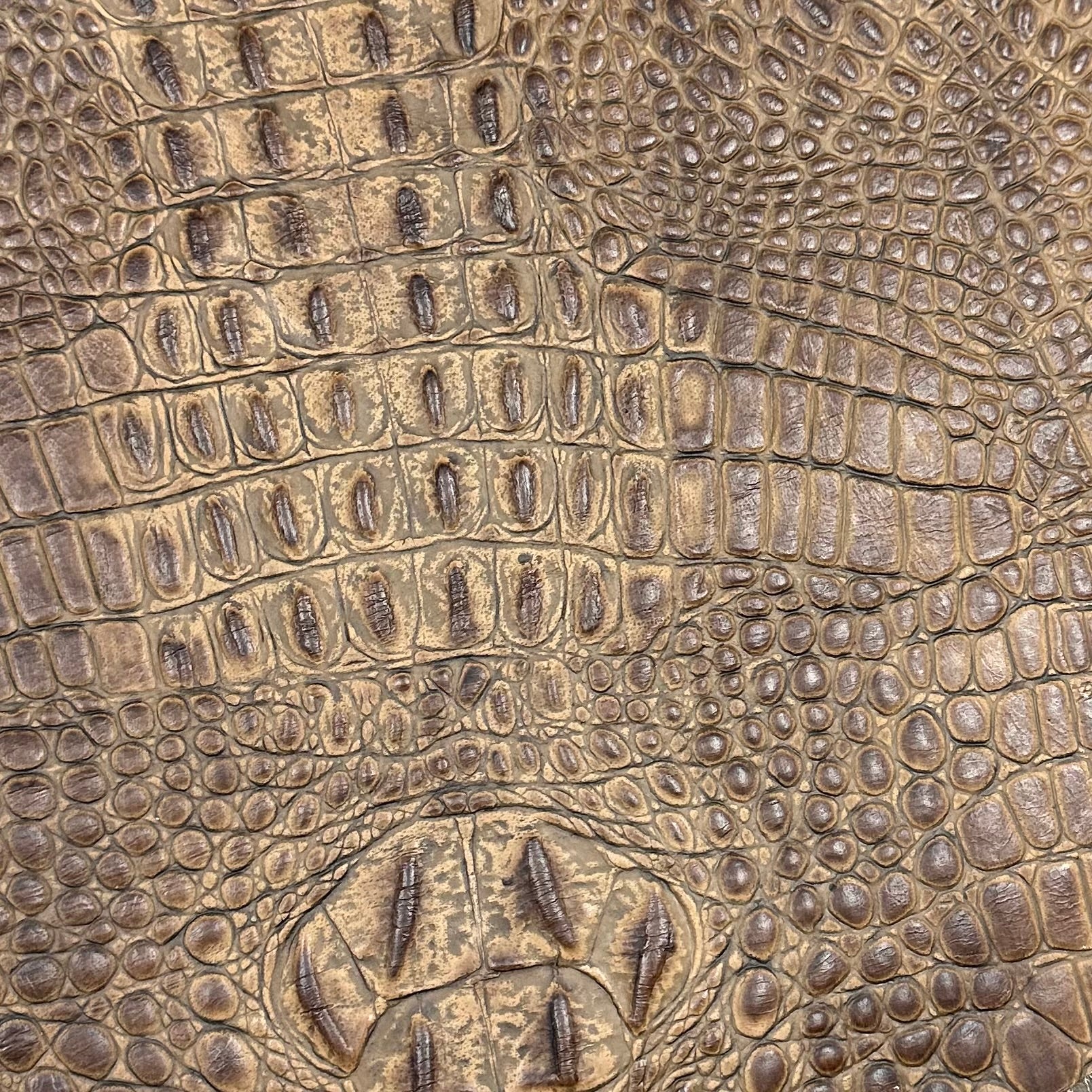 Hand-Stained Crocodile Embossed Cow Whole Hide | 25+ Colors