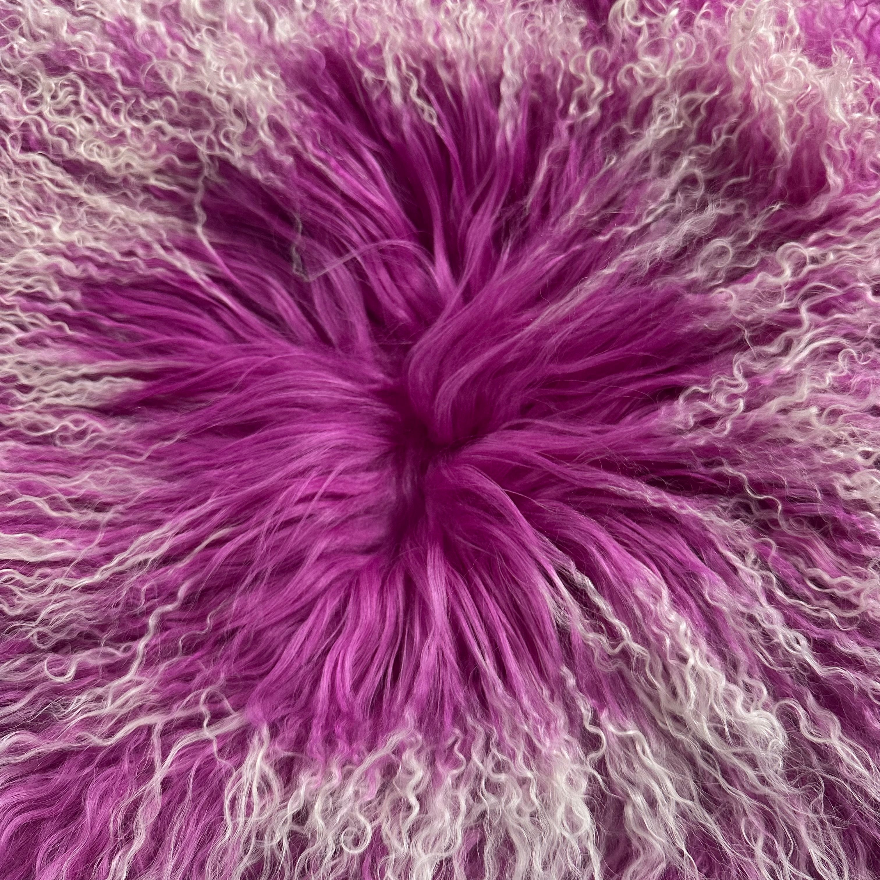 Mongolian Tibetan Curly Lamb Plate | Pink and Blue Tipped