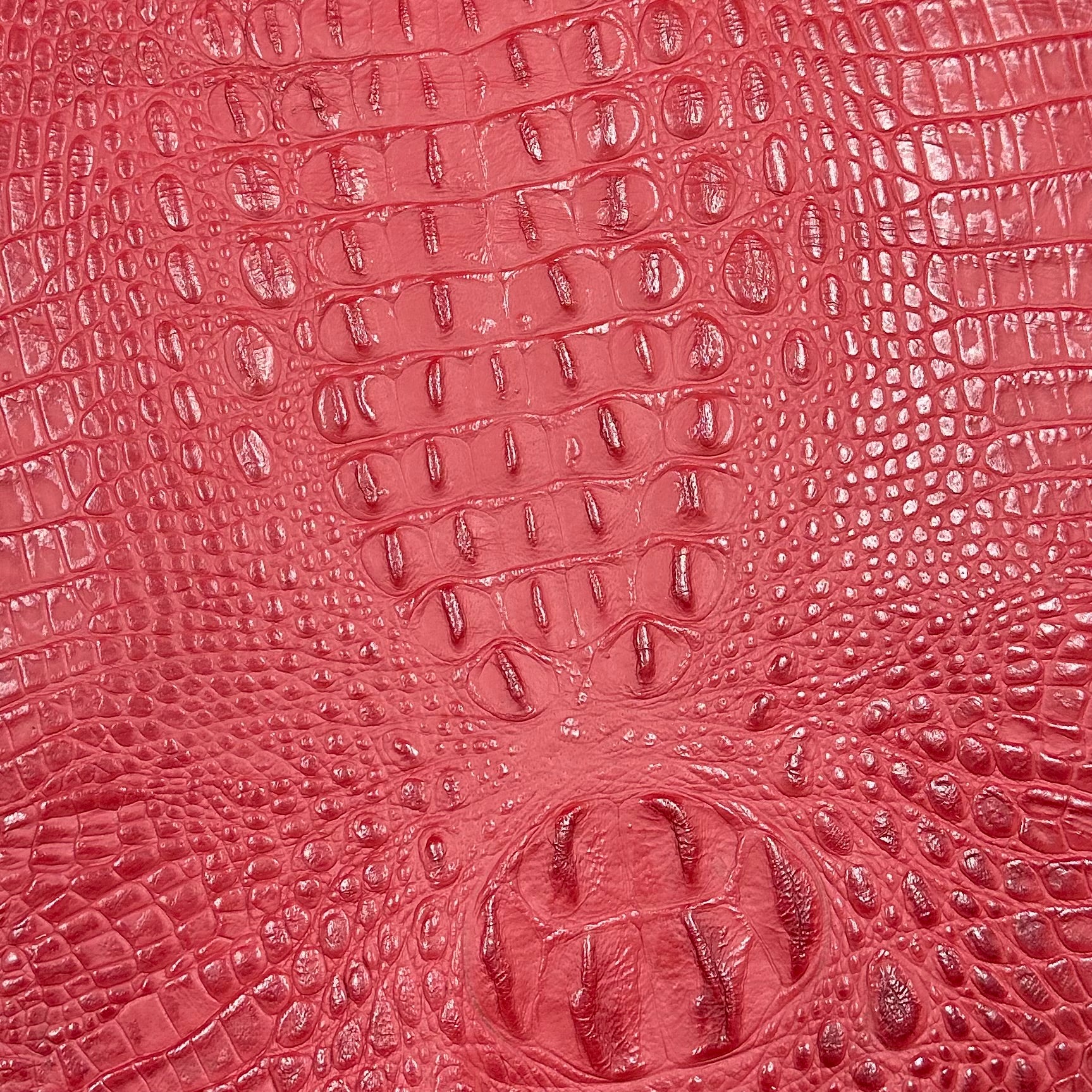 Hand-Stained Crocodile Embossed Cow Whole Hide | 25+ Colors