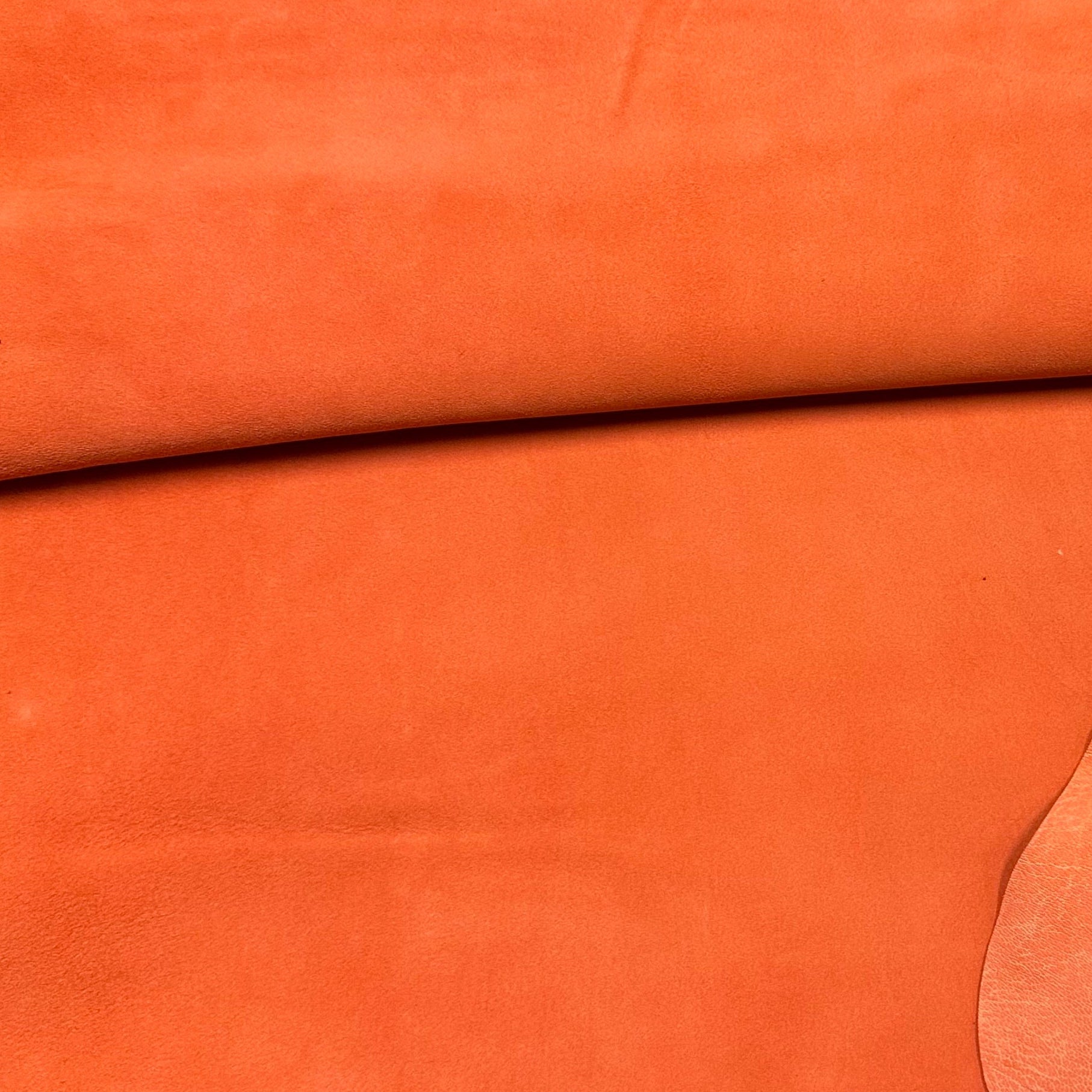 GOAT SUEDE | FOOTWEAR & ACCESSORIES