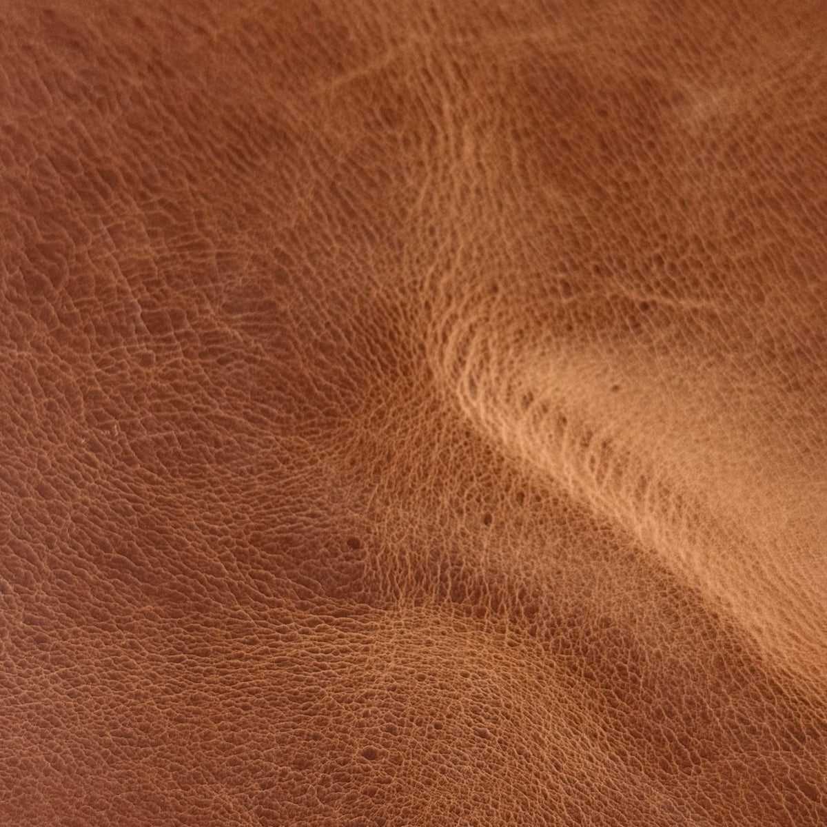 Aragona leather in cognac brown, featuring a soft, natural grain texture with subtle folds and a matte finish.