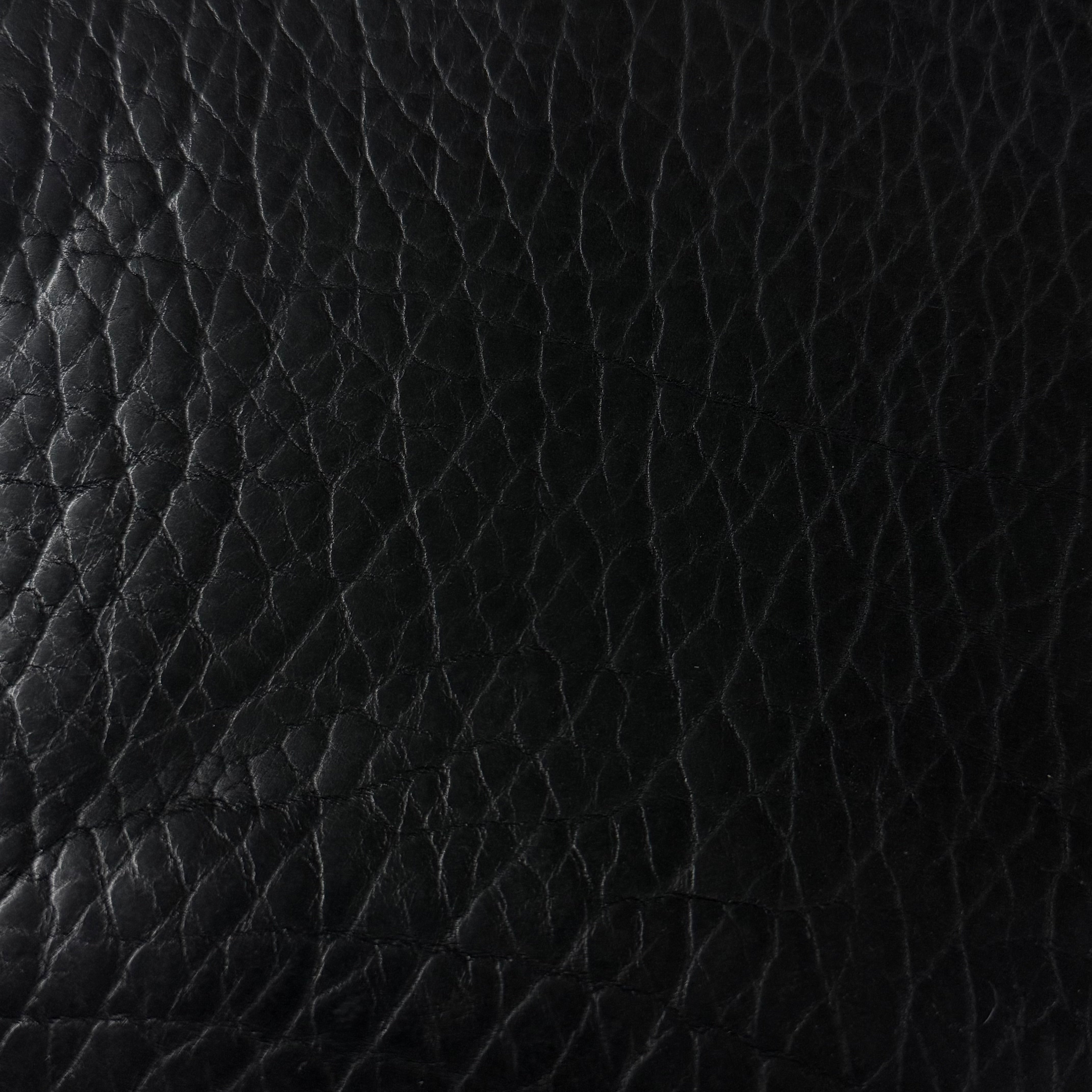 Shrunken American Bison, 4-5 oz | 7 Colors