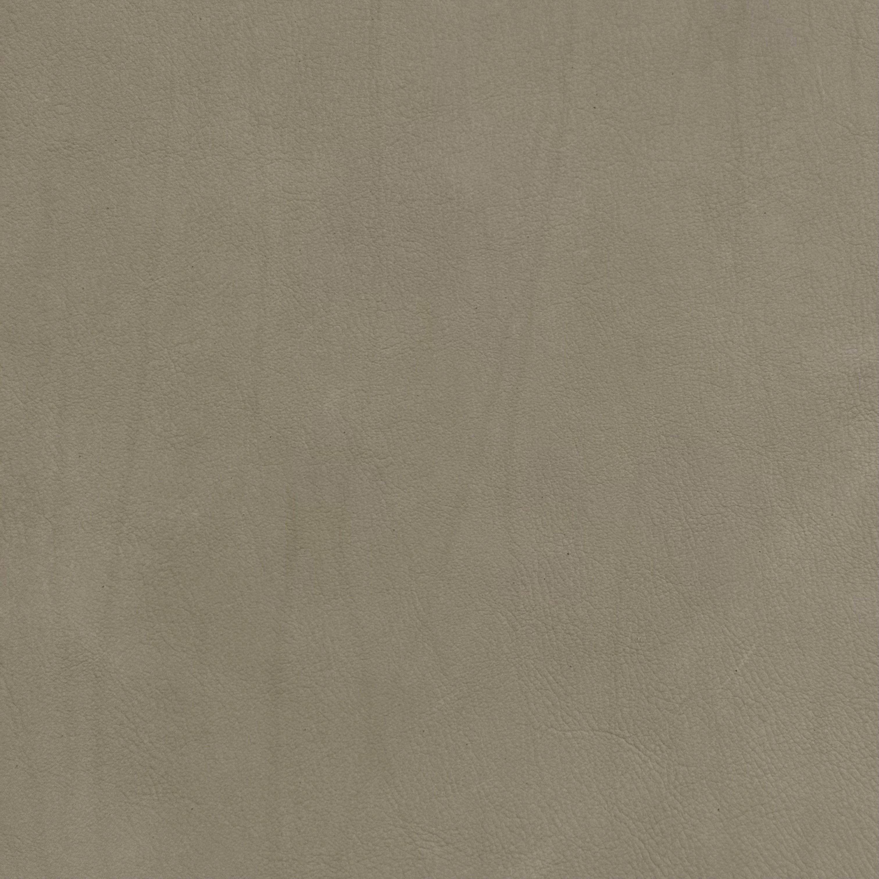 Salice Calf - Italian, Aniline | Incas Tannery
