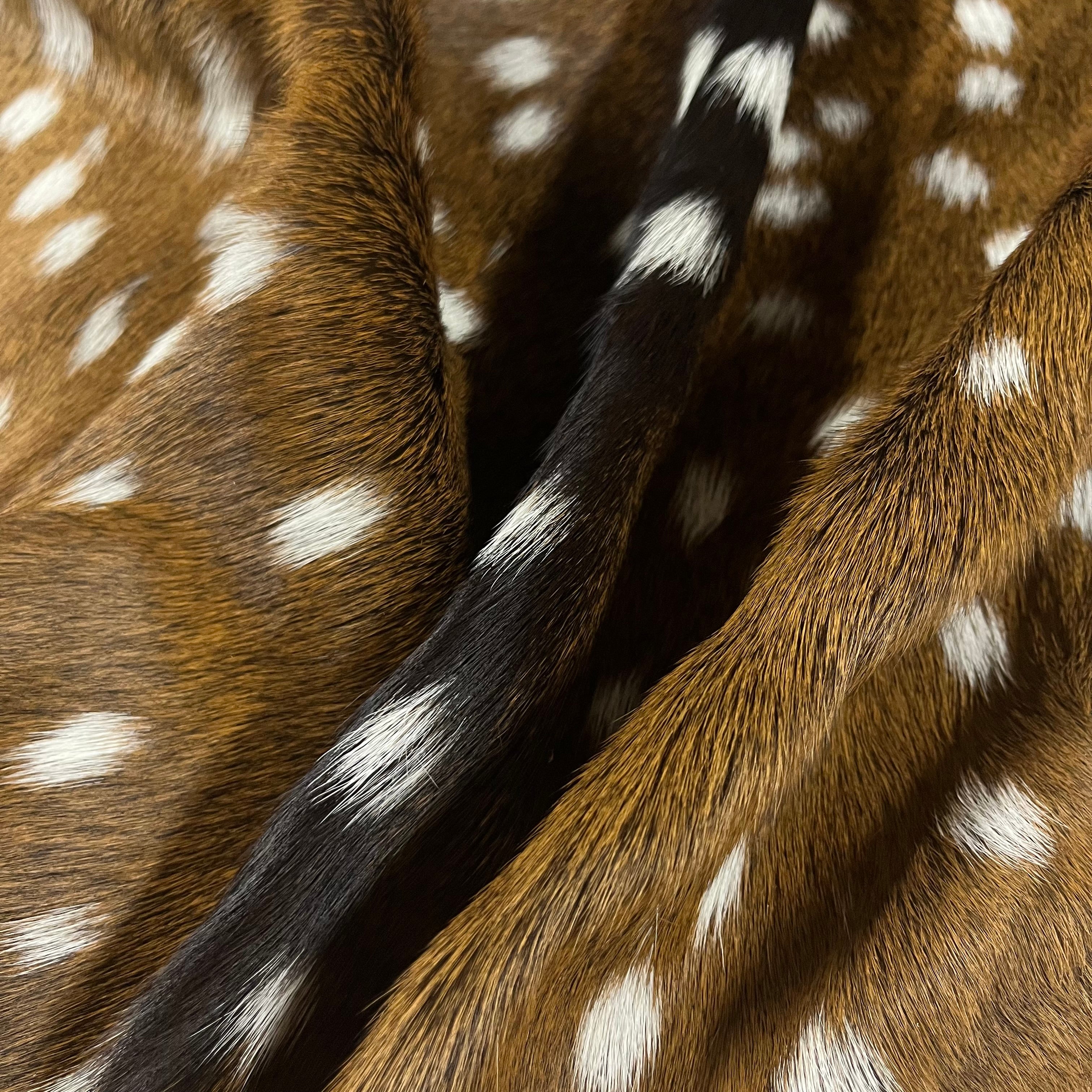 Axis Wild Deer Hide, Grade 1 | Natural Pattern – LeatherSkins.com