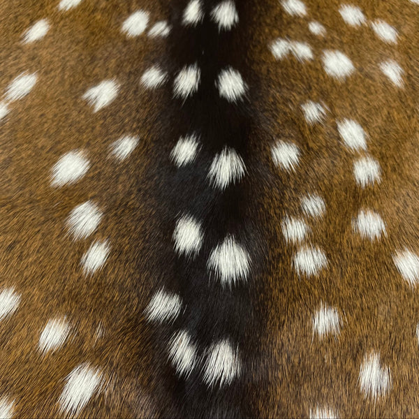 Axis Wild Deer Hide, Grade 1 | Natural Pattern – LeatherSkins.com