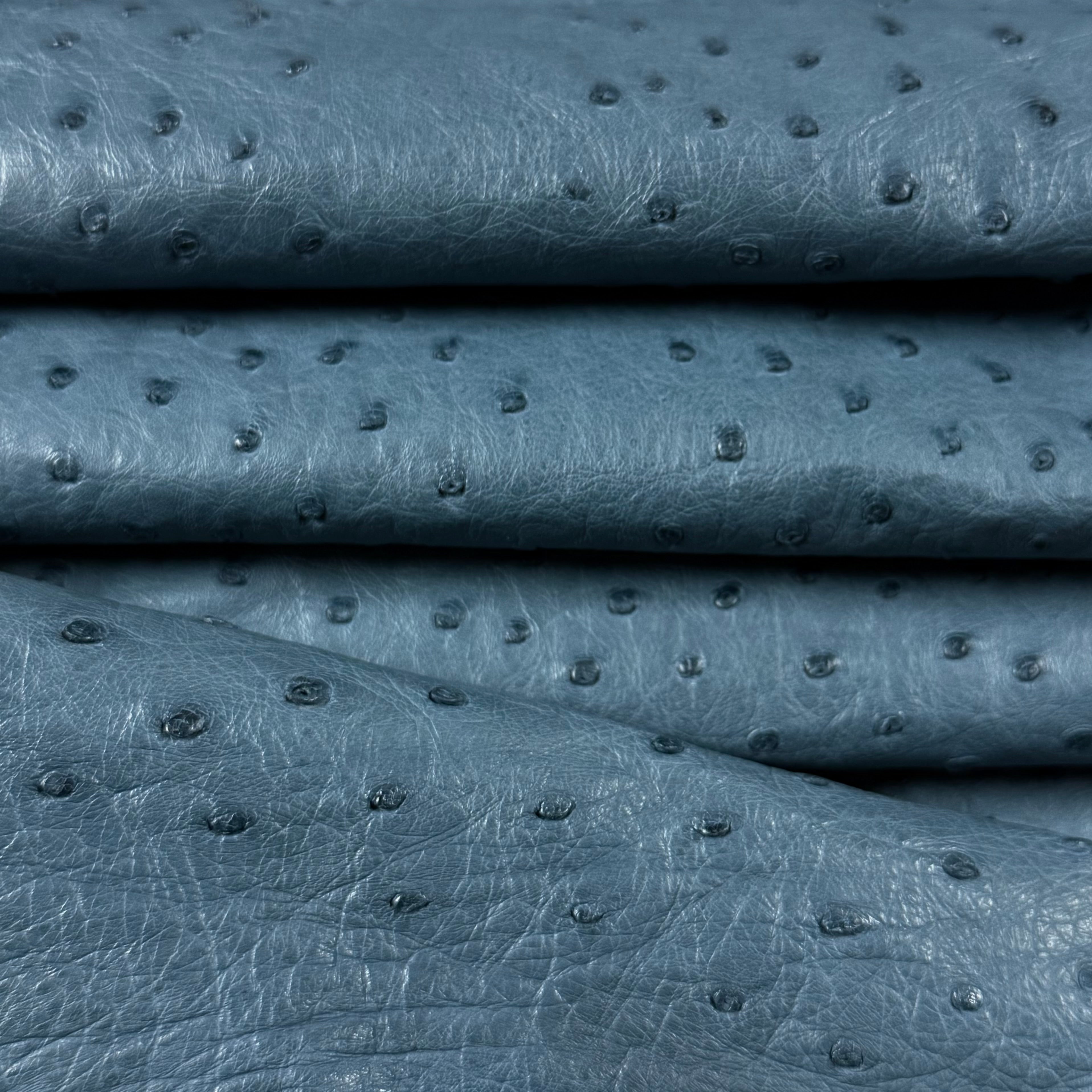 Blue full quill genuine ostrich leather, folded, showcasing its distinctive raised texture.