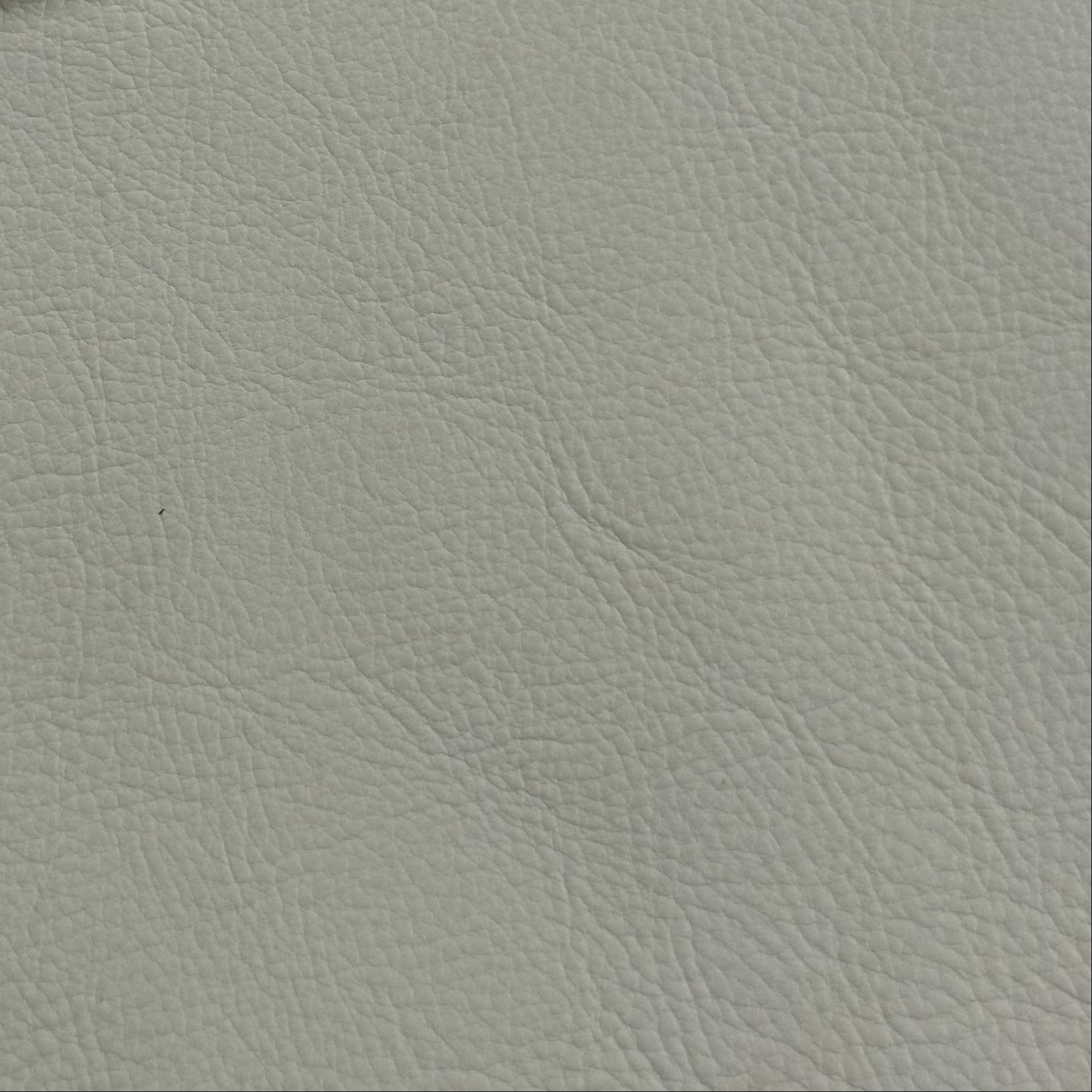 Salice Calf - Italian, Aniline | Incas Tannery