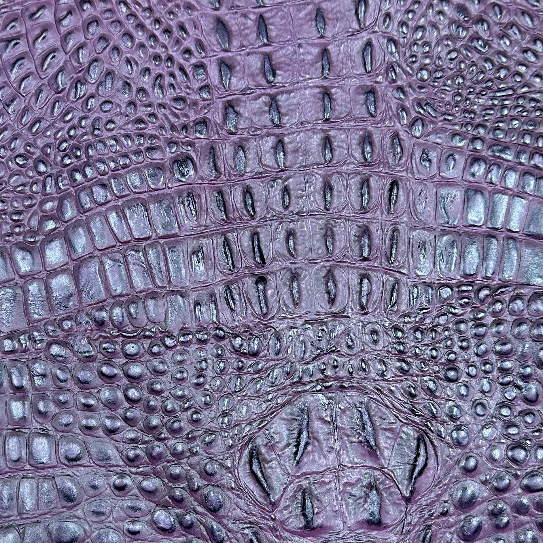 Hand-Stained Crocodile Embossed Cow Whole Hide | 25+ Colors