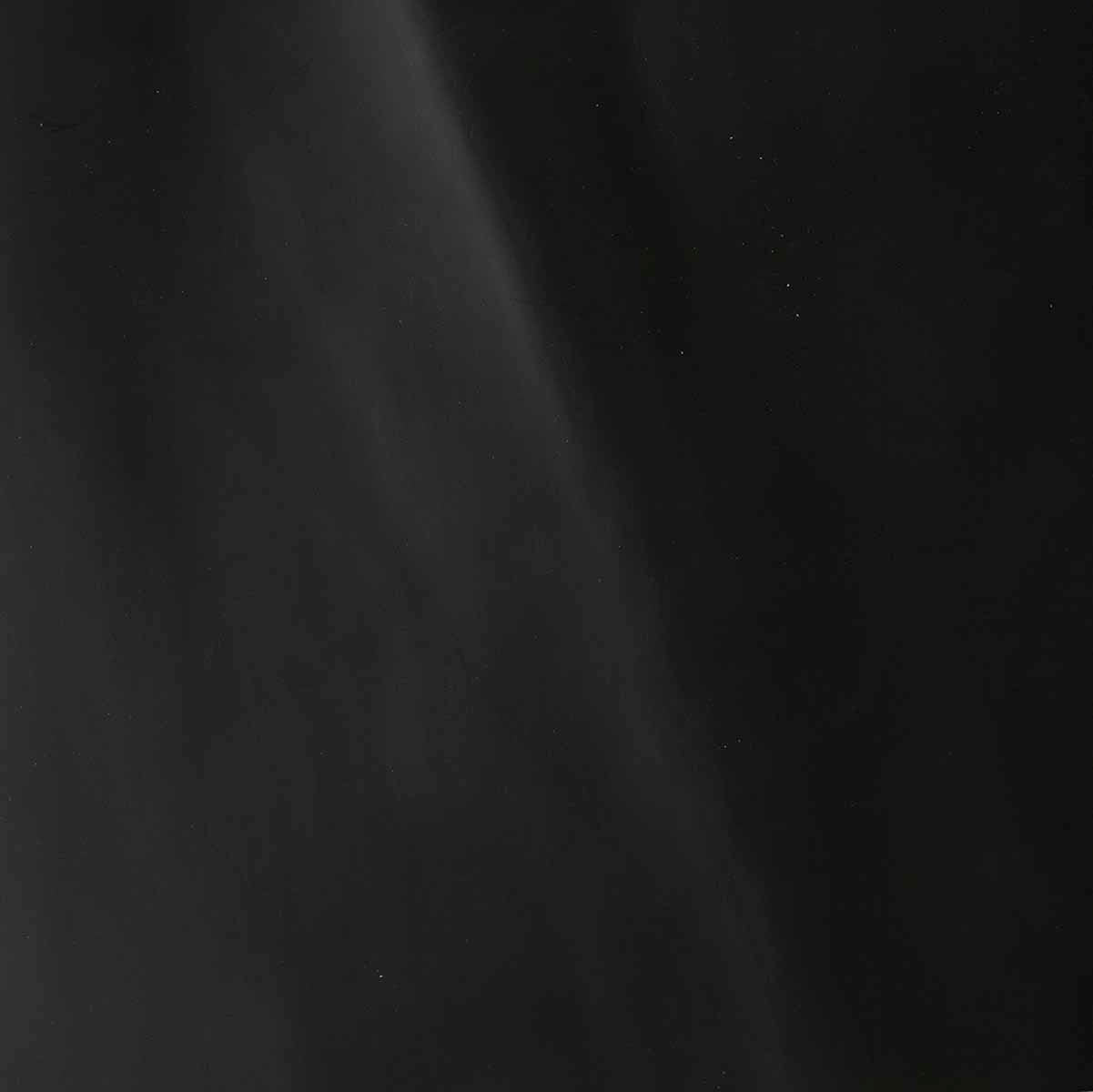 Box Cow Orthopedic Grade, 4-5 oz | 4 Colors