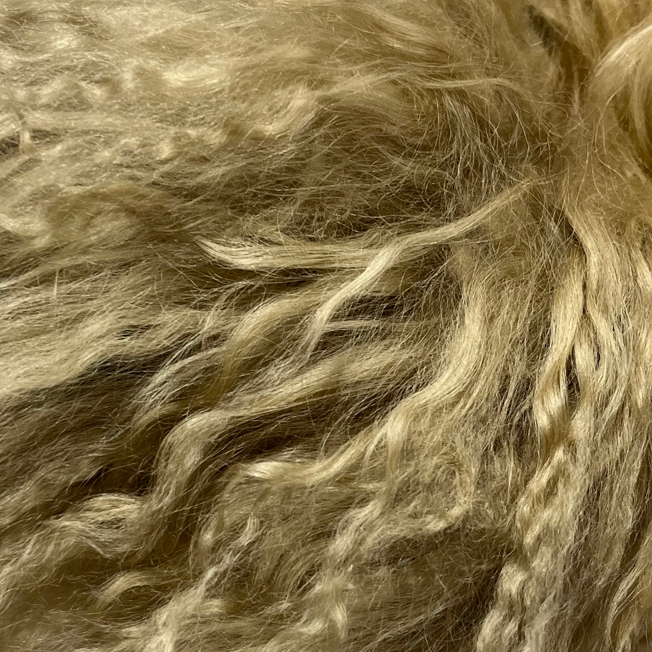 Mongolian Tibetan Curly Lamb Plate | 30+ Colors