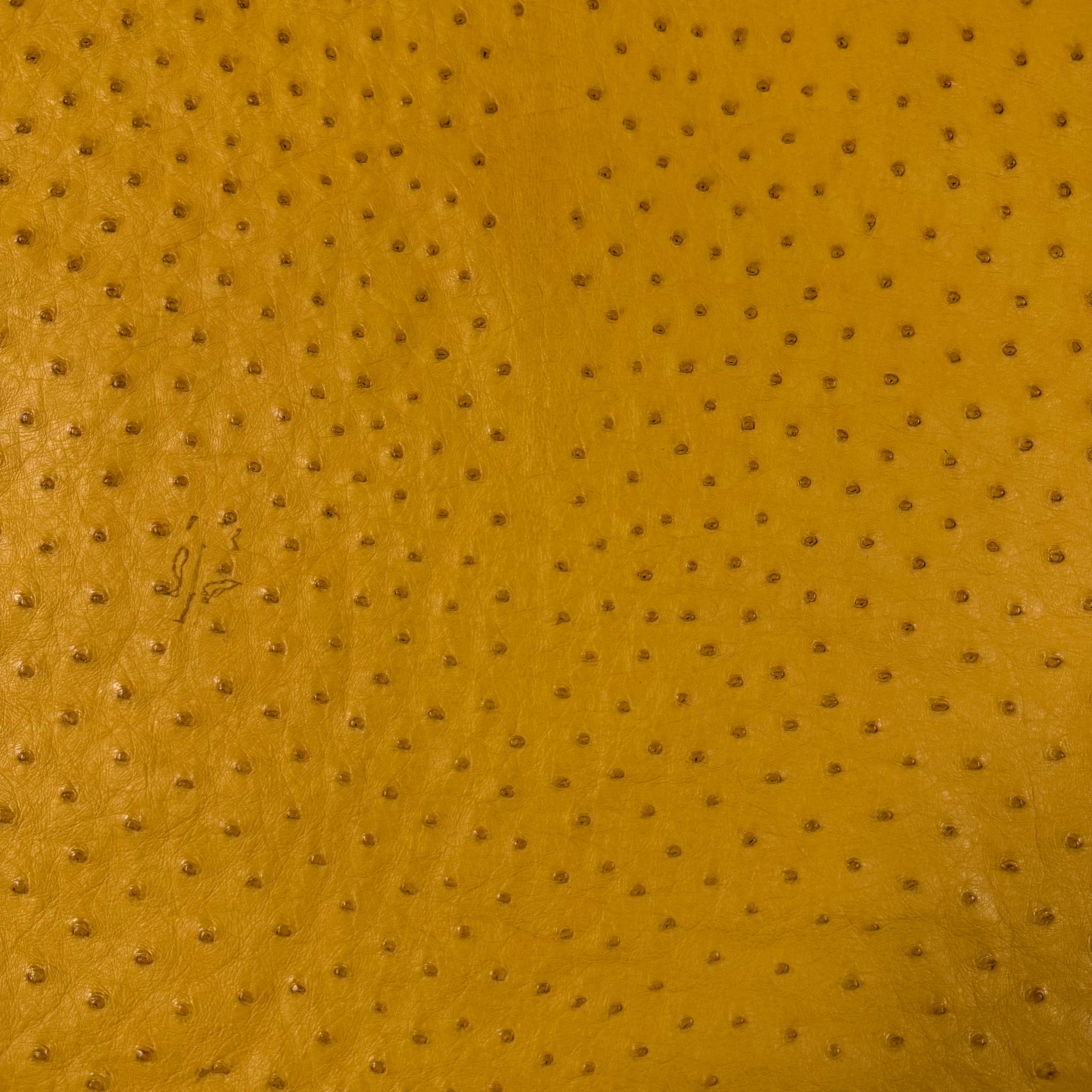 Close-up of genuine full quill ostrich leather in a rich yellow hue, showcasing its distinctive textured pattern.