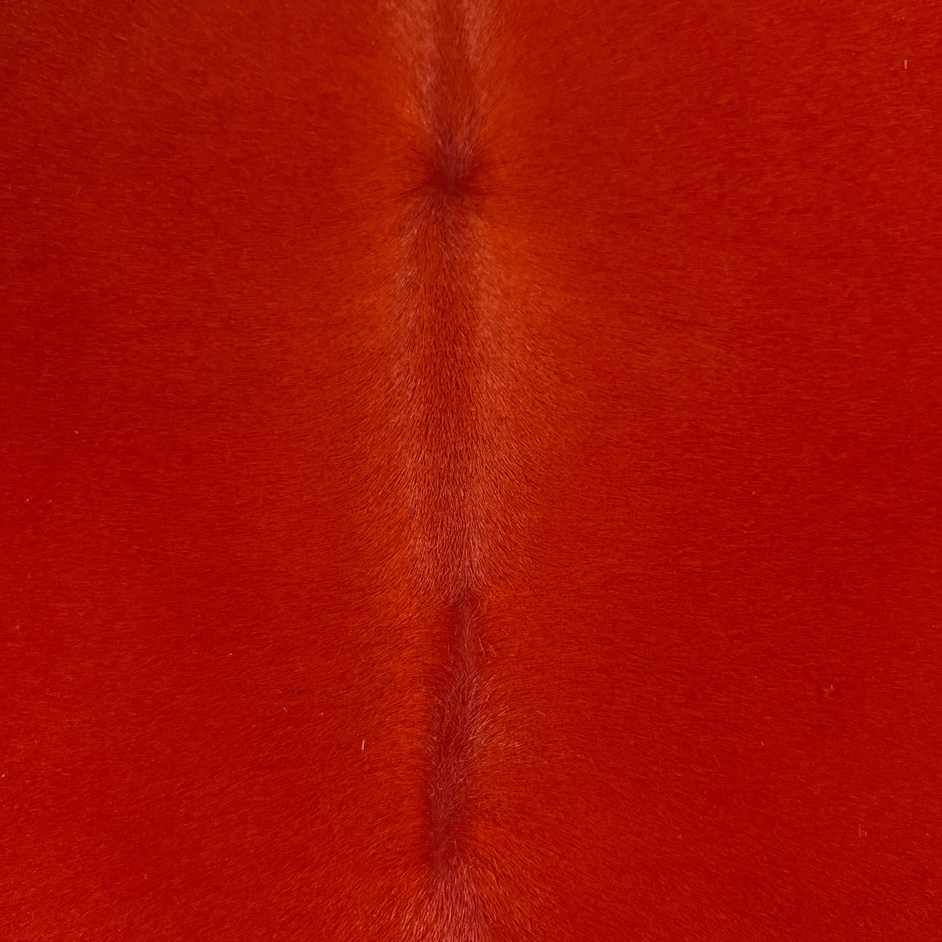 Cavalino Hair-On Calf, 2 oz | 20+ Colors