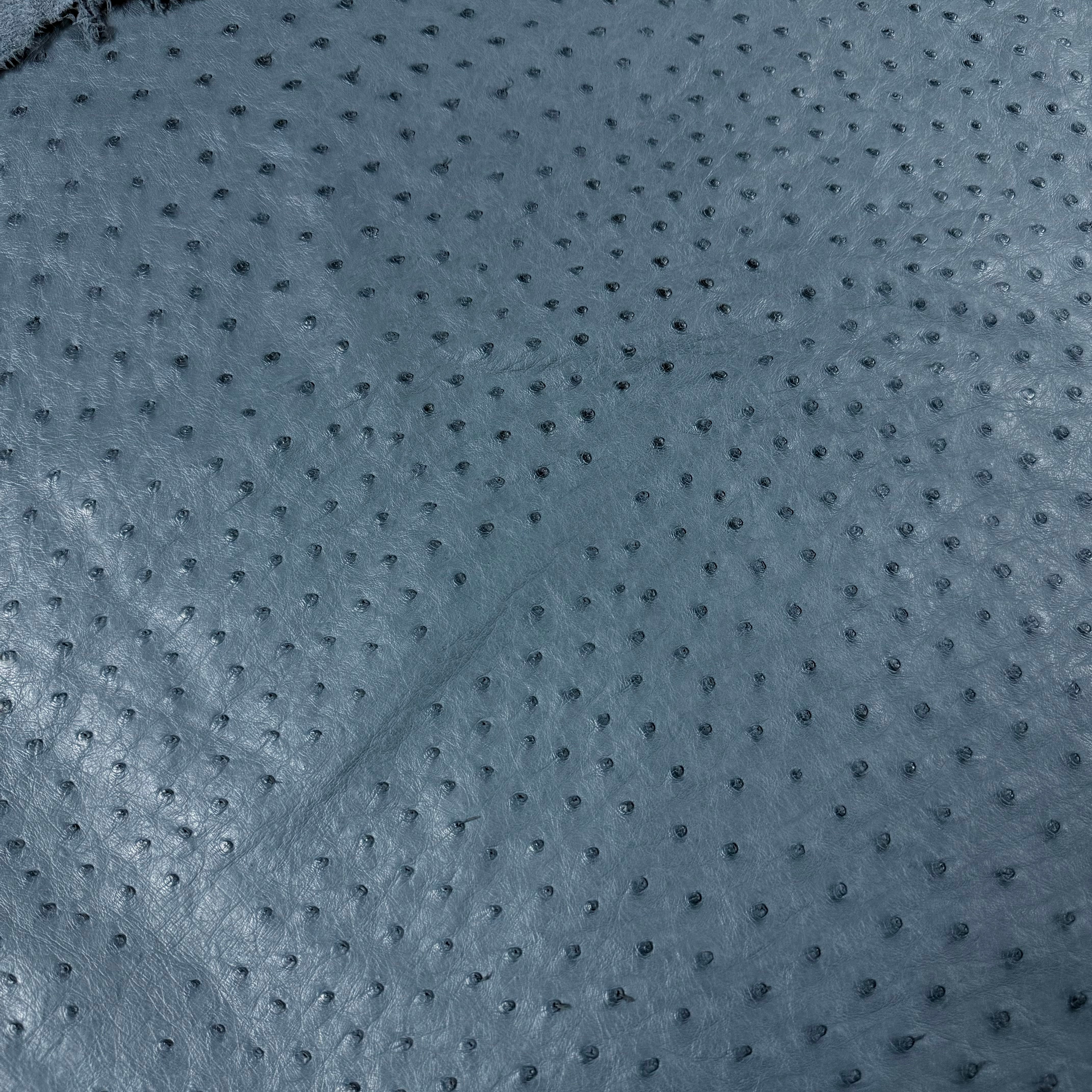Close-up of full quill genuine ostrich leather in a soft blue-grey color, showing its distinctive raised texture.