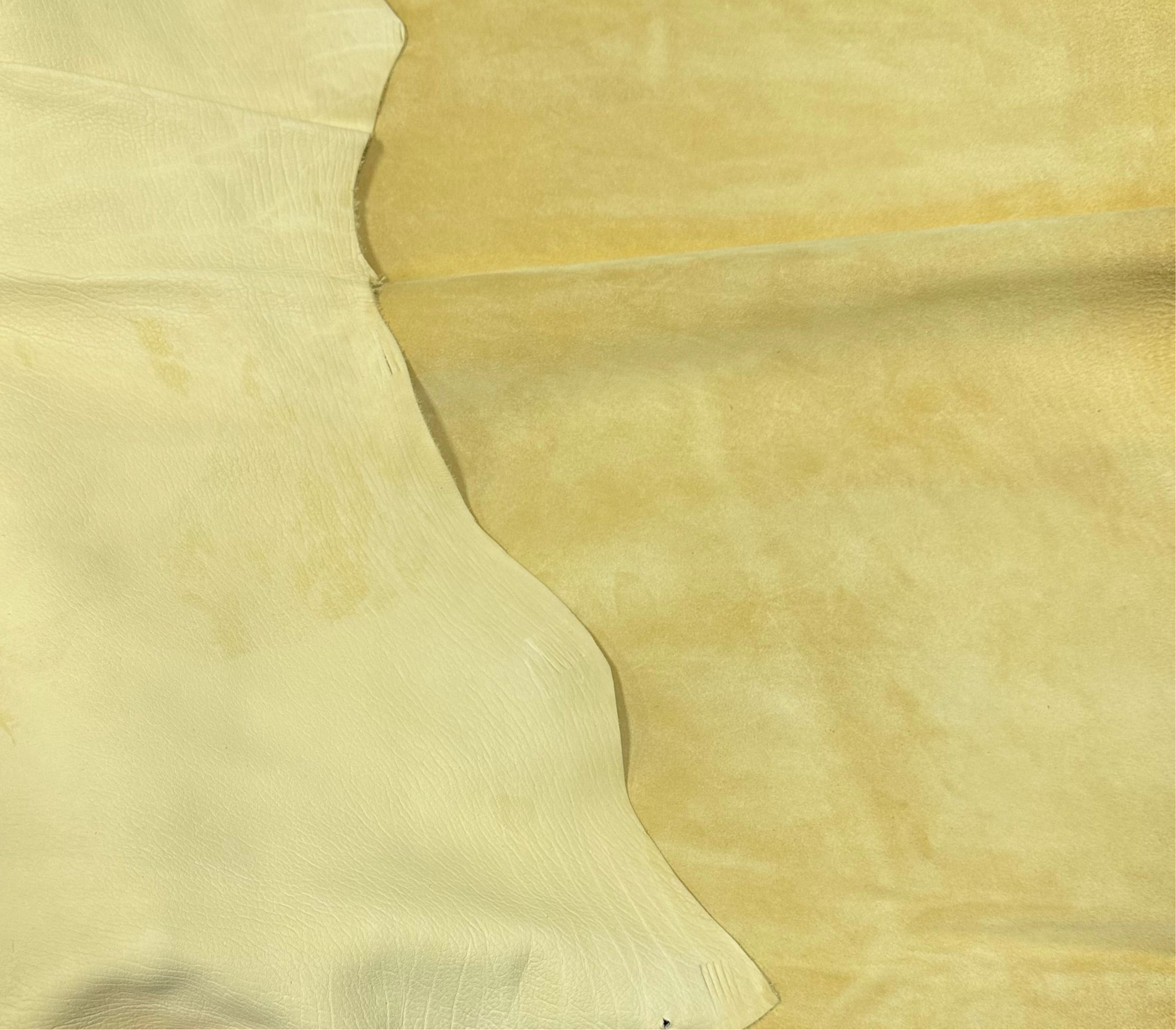 Full Grain Calf Suede, 2-3 oz | Spring Colors