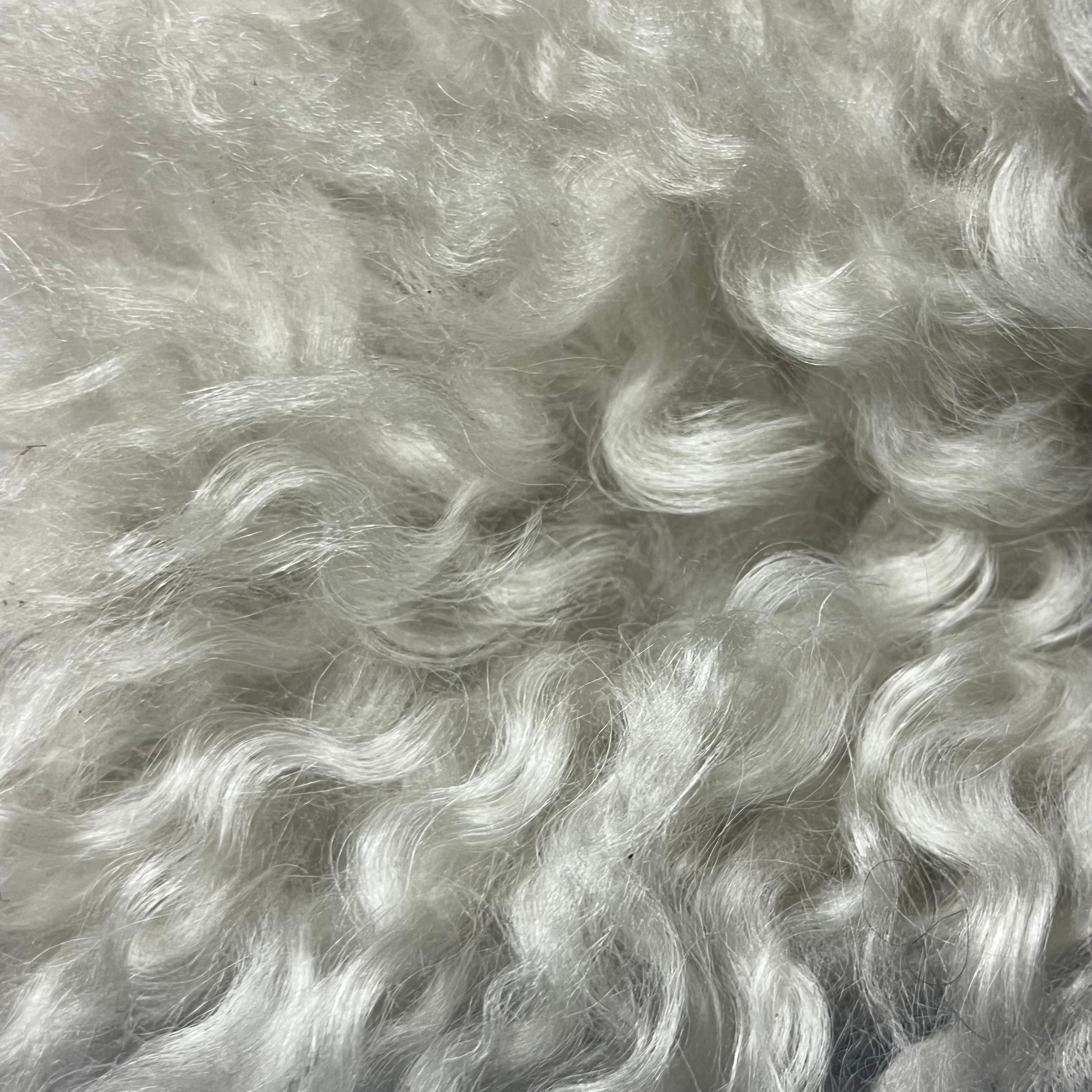 Mongolian Tibetan Curly Lamb Plate | 30+ Colors