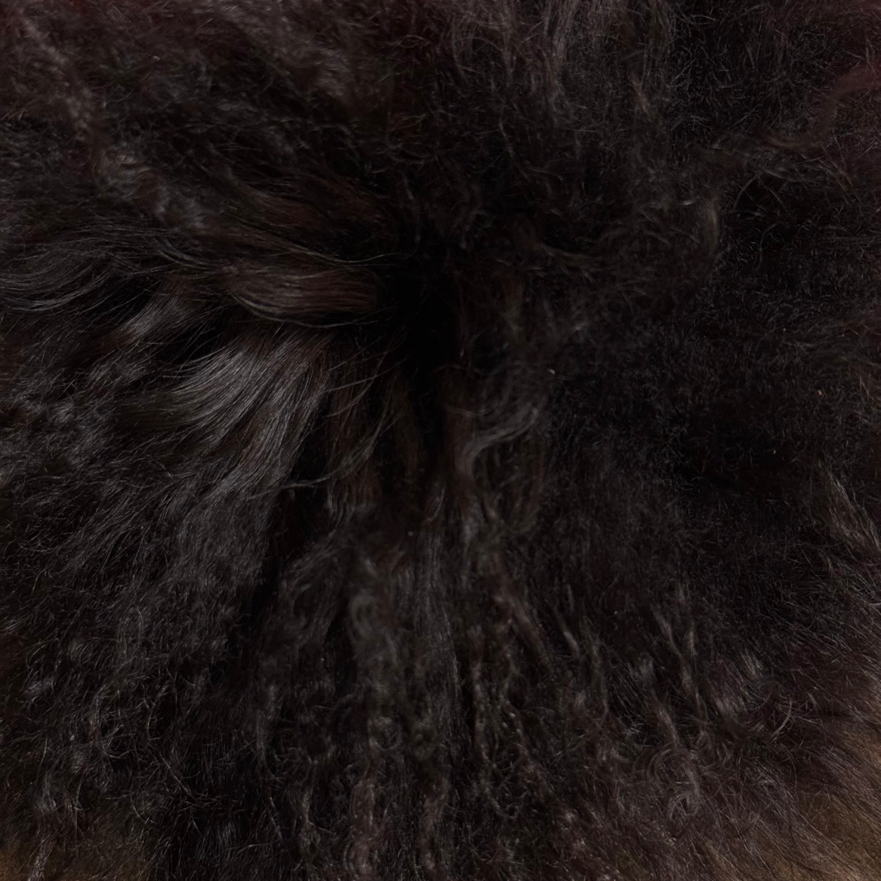 Mongolian Tibetan Curly Lamb Plate | 30+ Colors