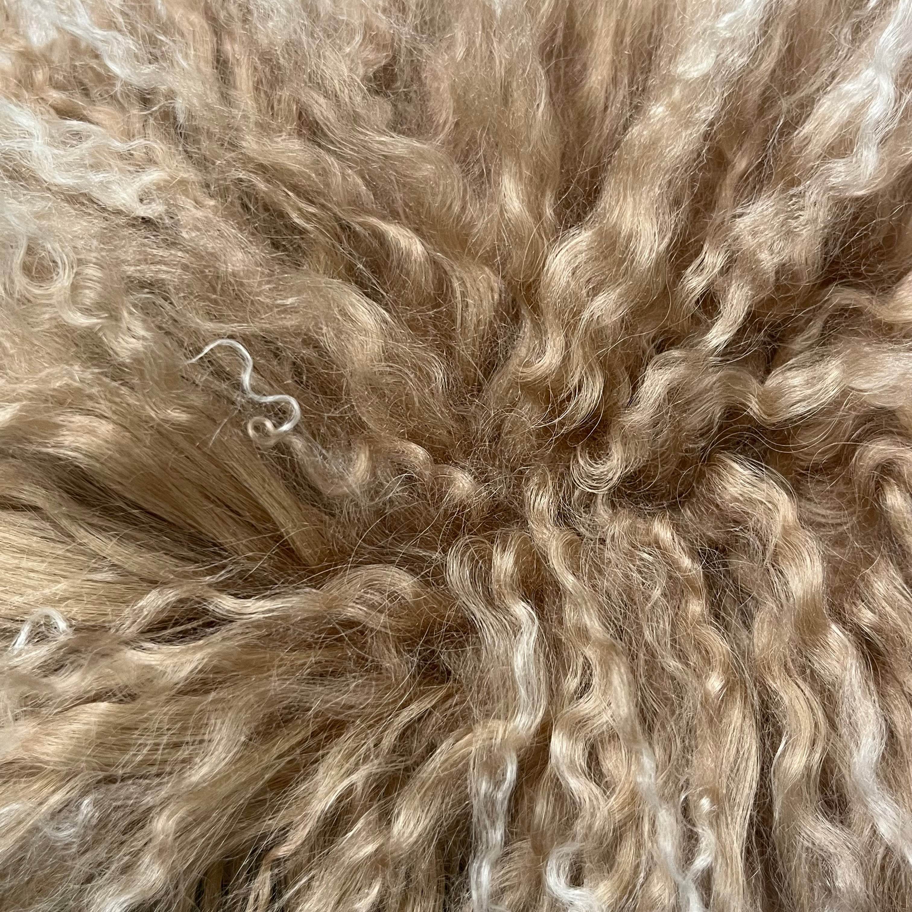 Mongolian Tibetan Curly Lamb Plate | 30+ Colors