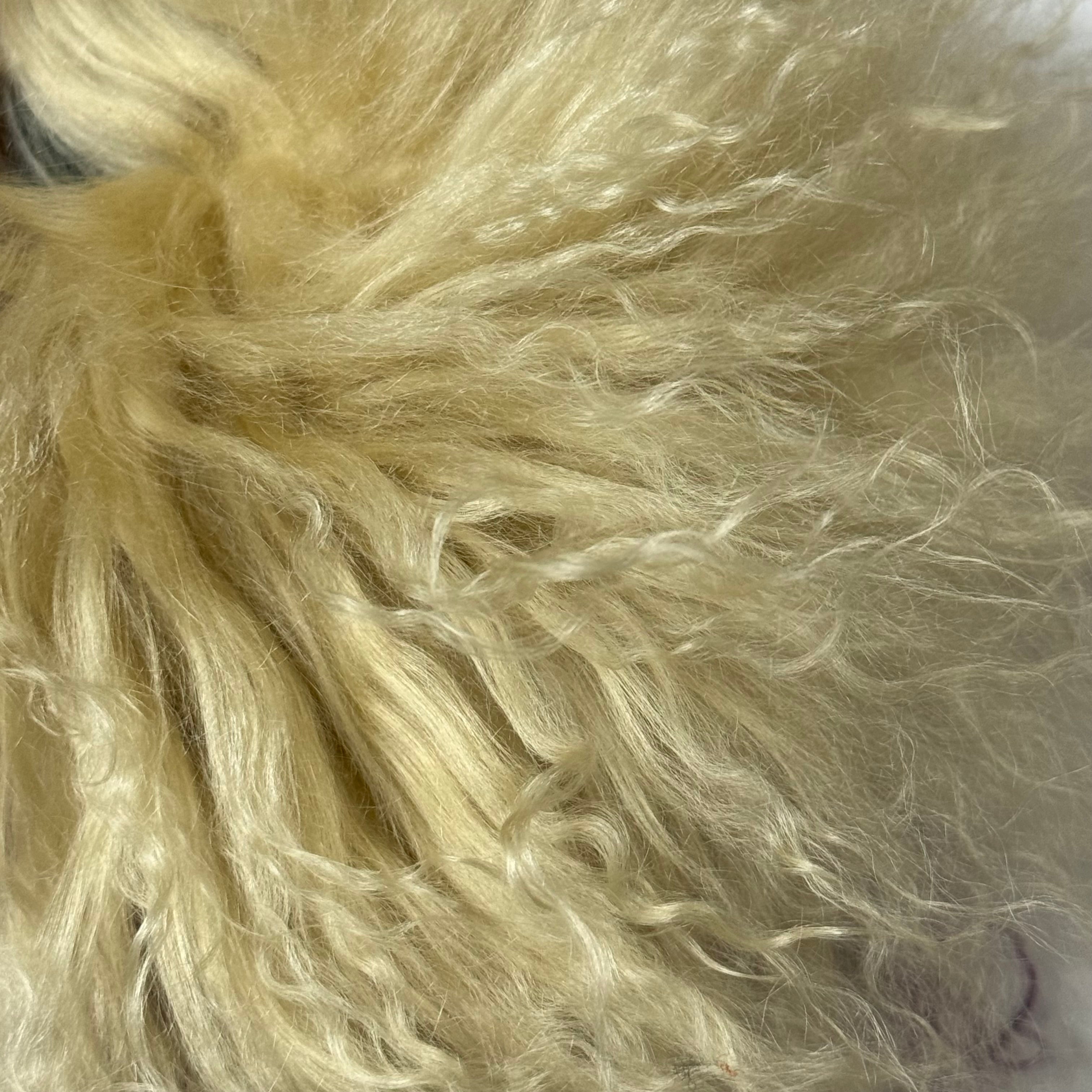 Mongolian Tibetan Curly Lamb Plate | 30+ Colors