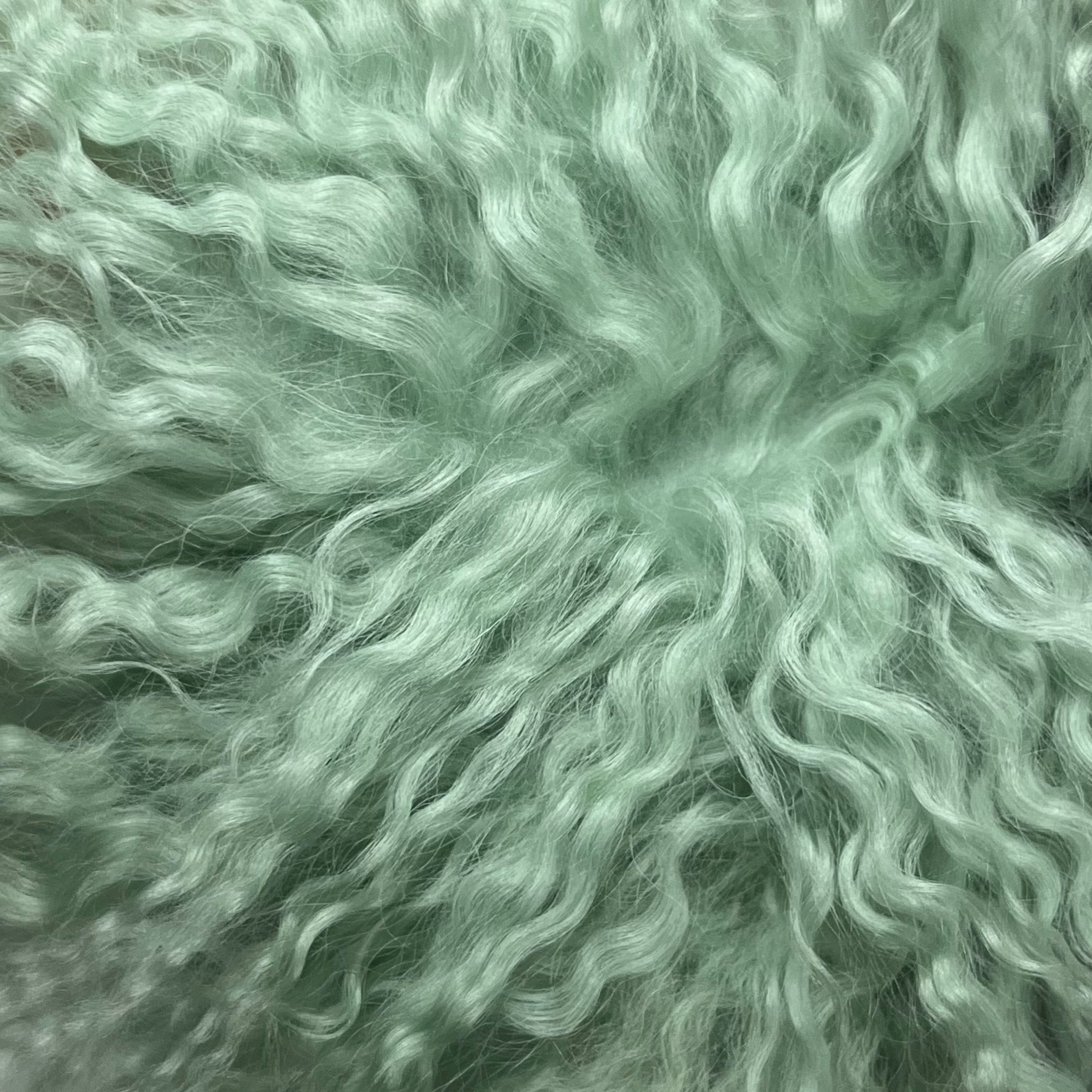 Mongolian Tibetan Curly Lamb Plate | 30+ Colors