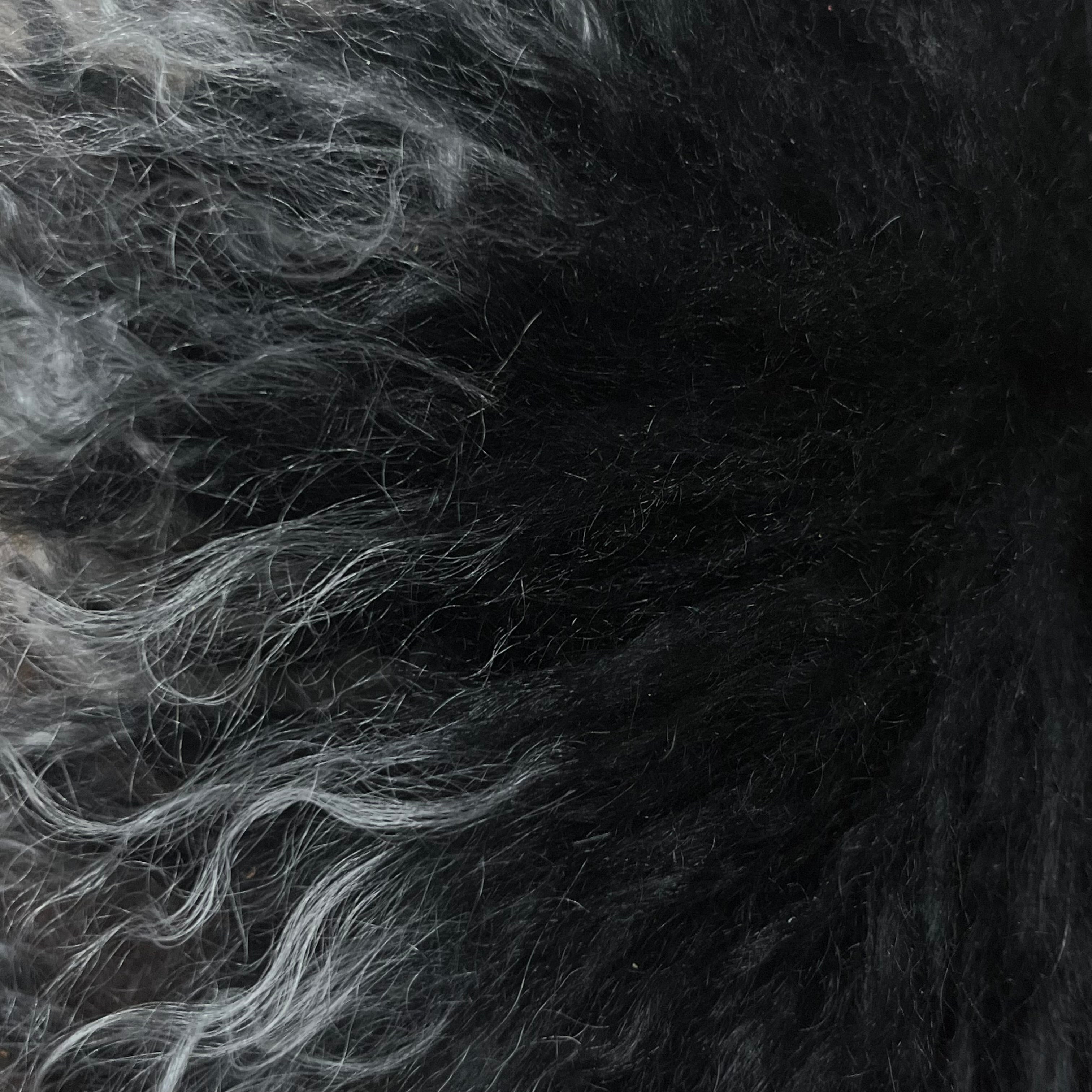 Mongolian Tibetan Curly Lamb Plate | 30+ Colors