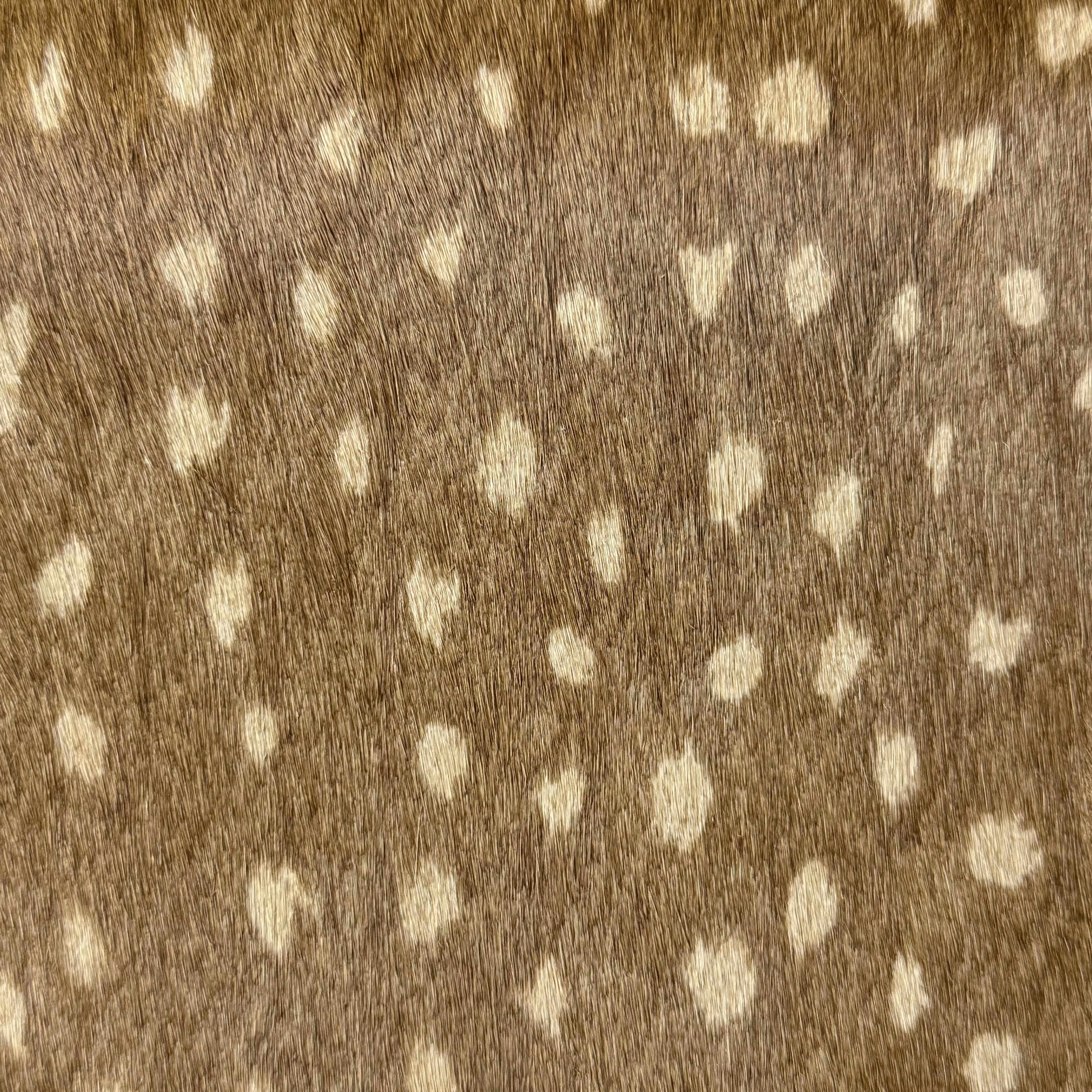 Printed Hair-On Cow Sides, 3 oz | 10+ Patterns