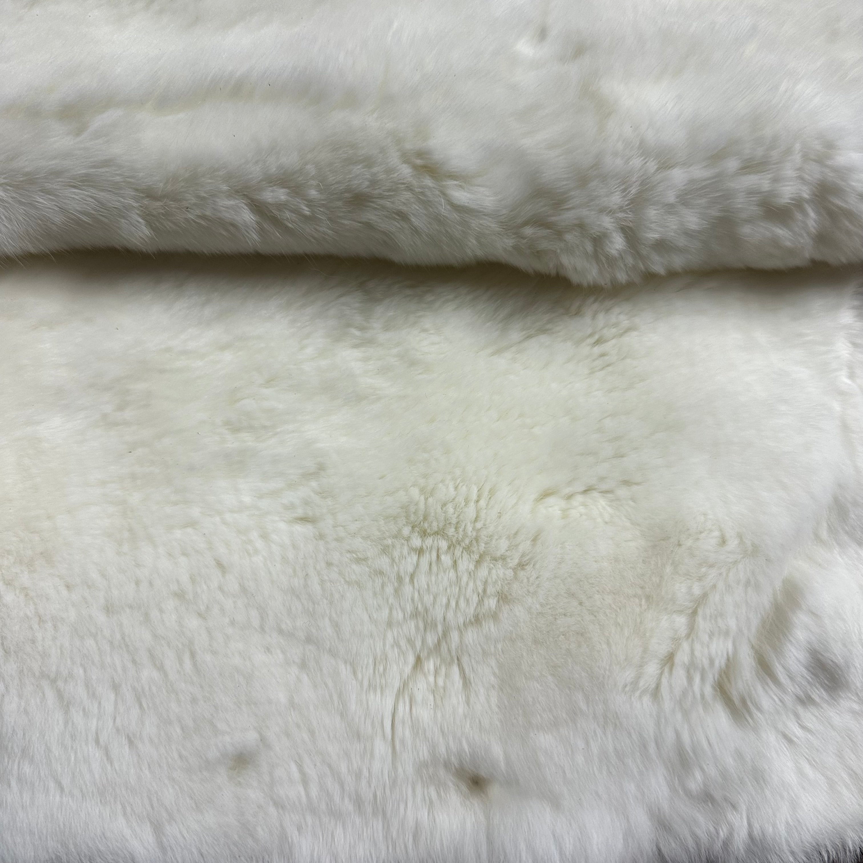 Rex Rabbit Plate (King Rabbit) | 3 Colors