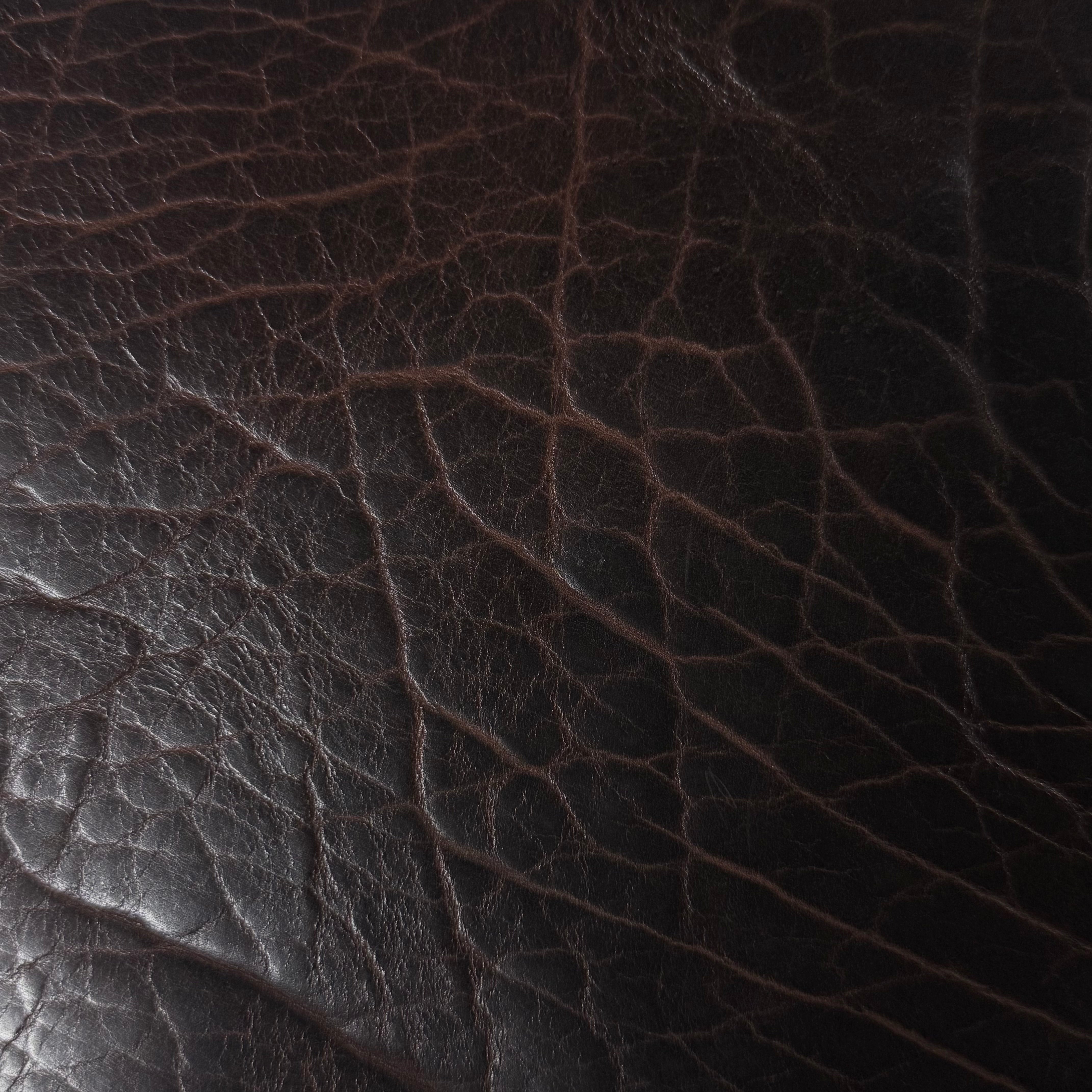 Shrunken American Bison, 4-5 oz | 7 Colors