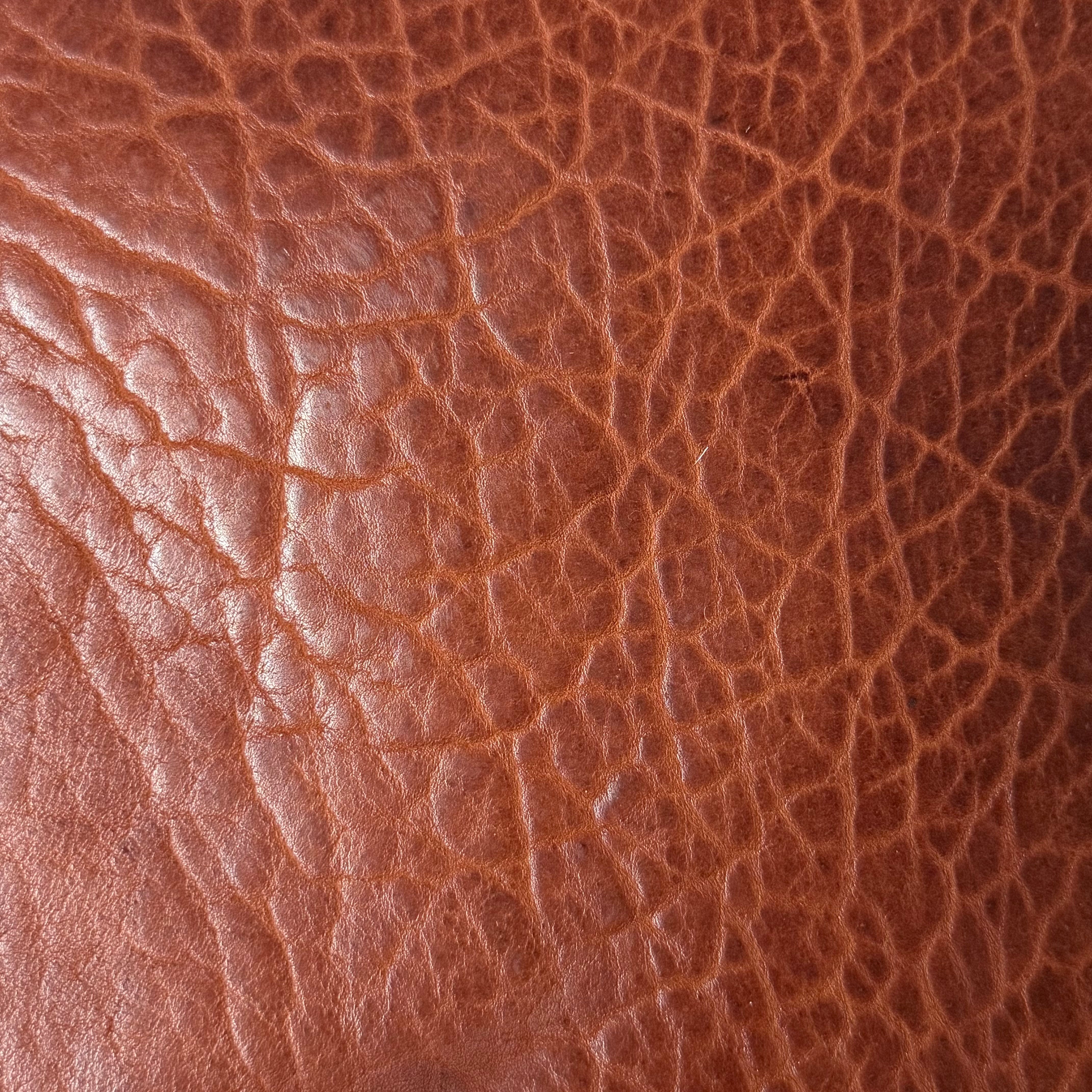 Shrunken American Bison, 4-5 oz | 7 Colors