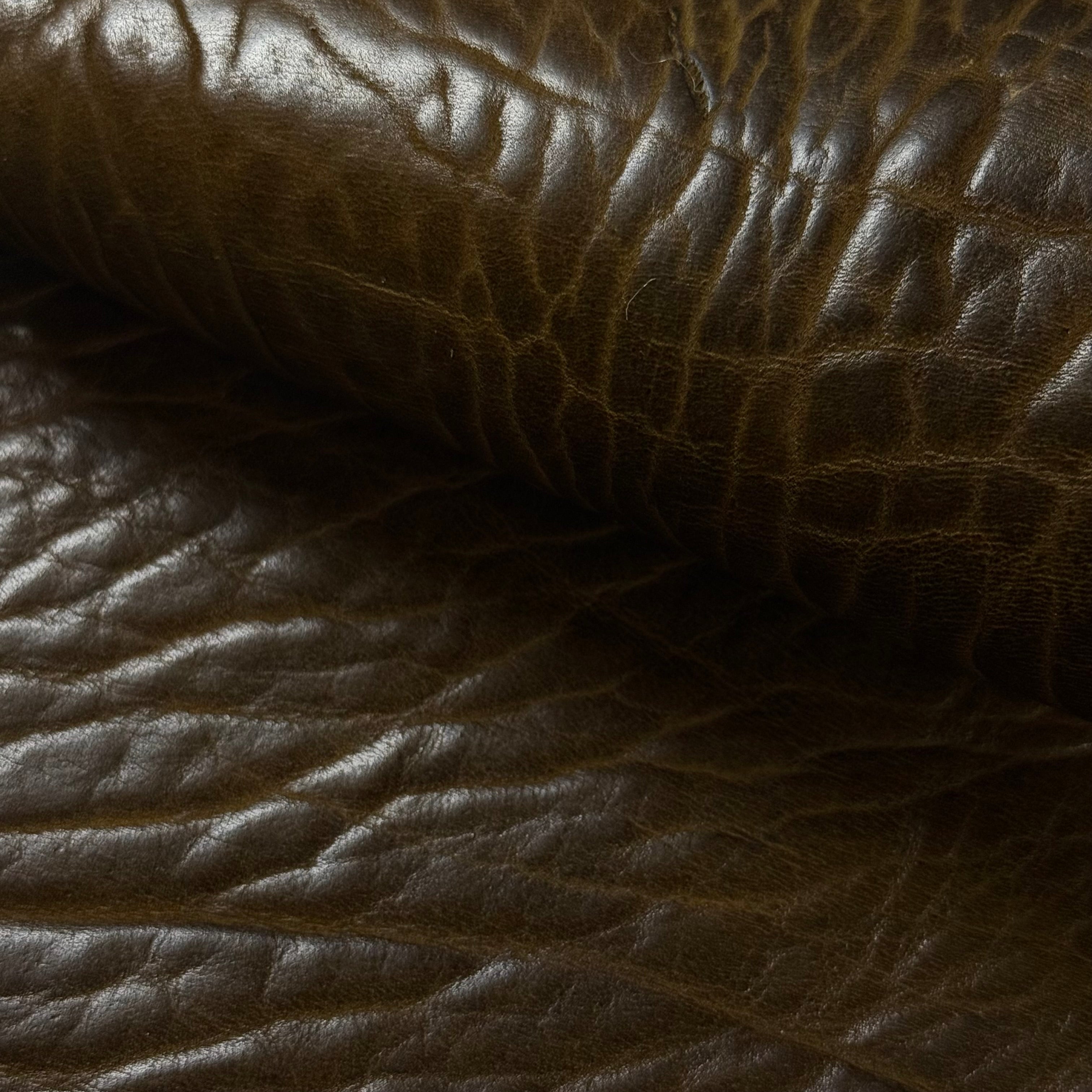 Shrunken American Bison, 4-5 oz | 7 Colors