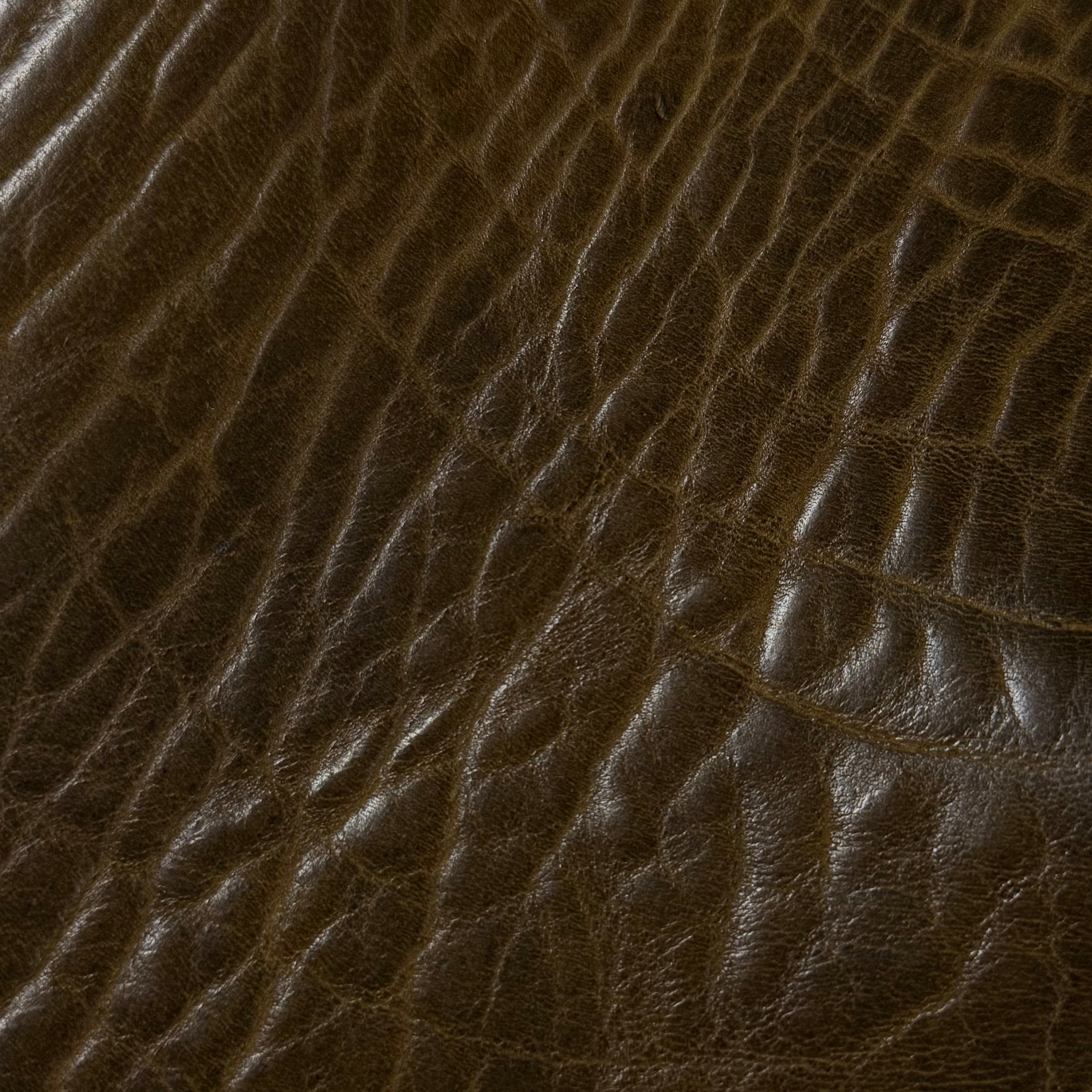 Shrunken American Bison, 4-5 oz | 7 Colors