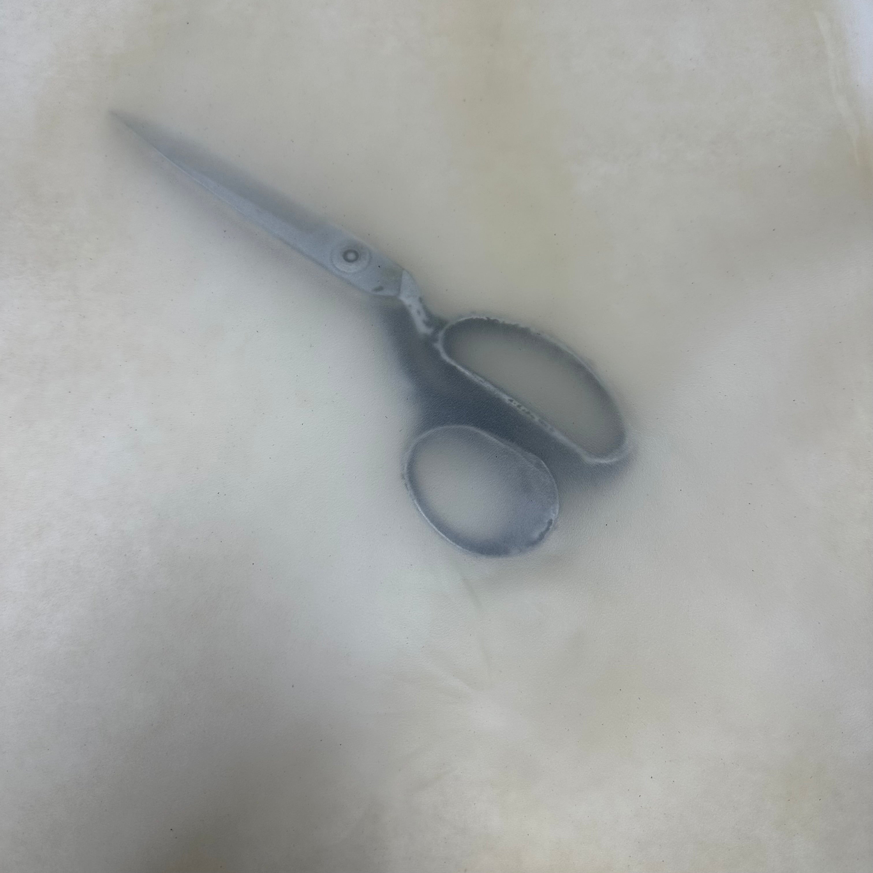 Transparent Lamb, 2 oz