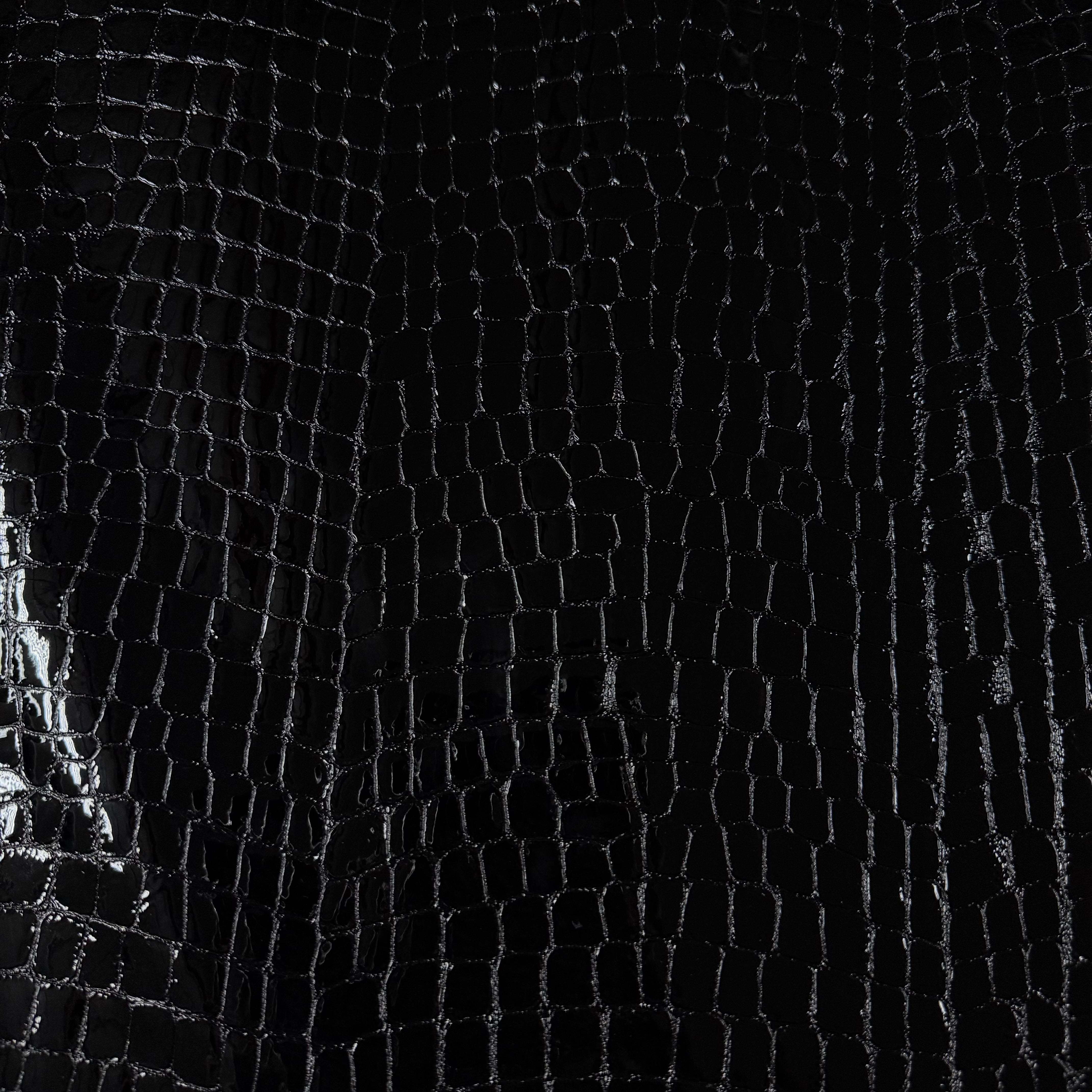 Close-up of black dragon scale patent leather