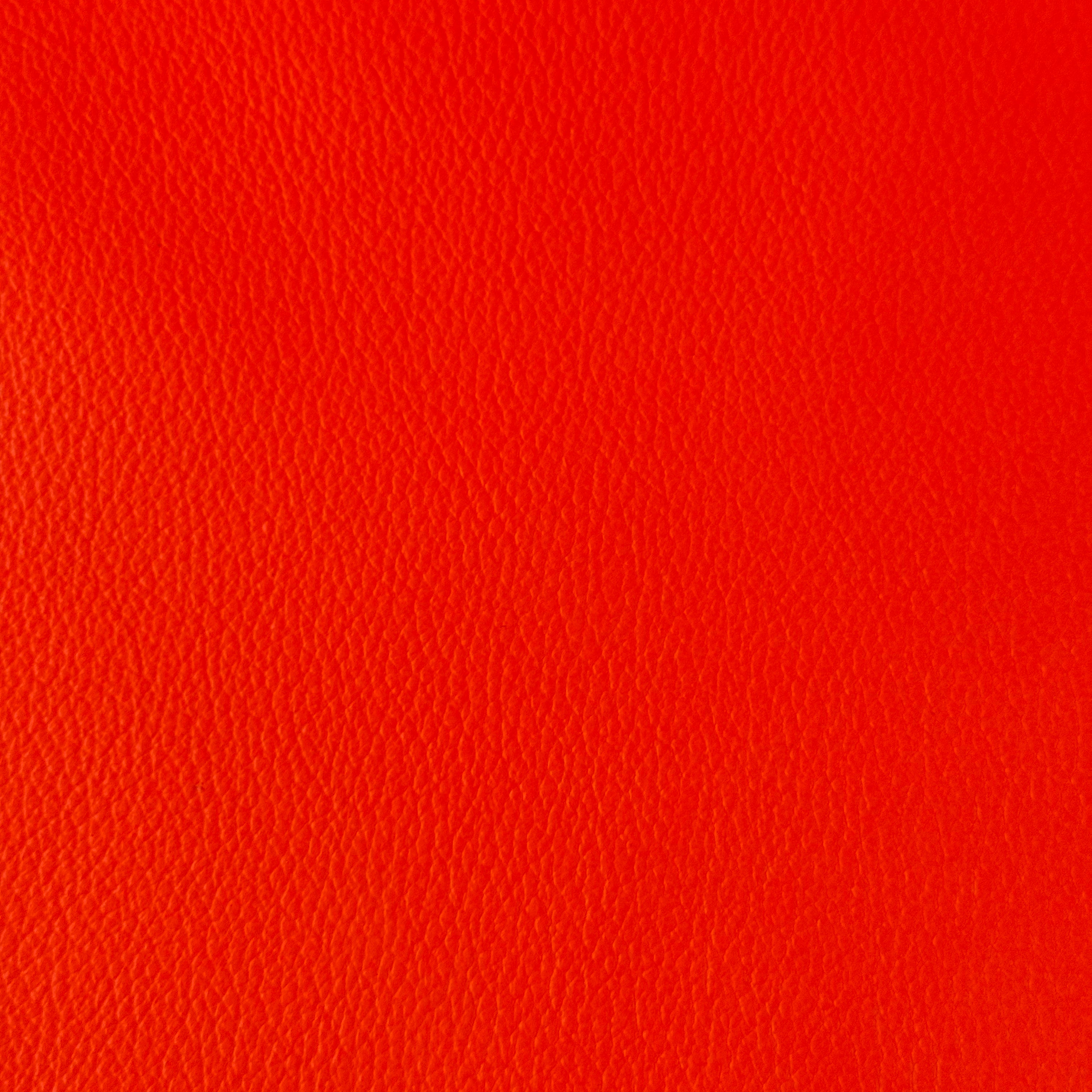 Neon Economy Cow Nappa "Varsity Jacket" Leather, 2-3 oz | 4 Colors